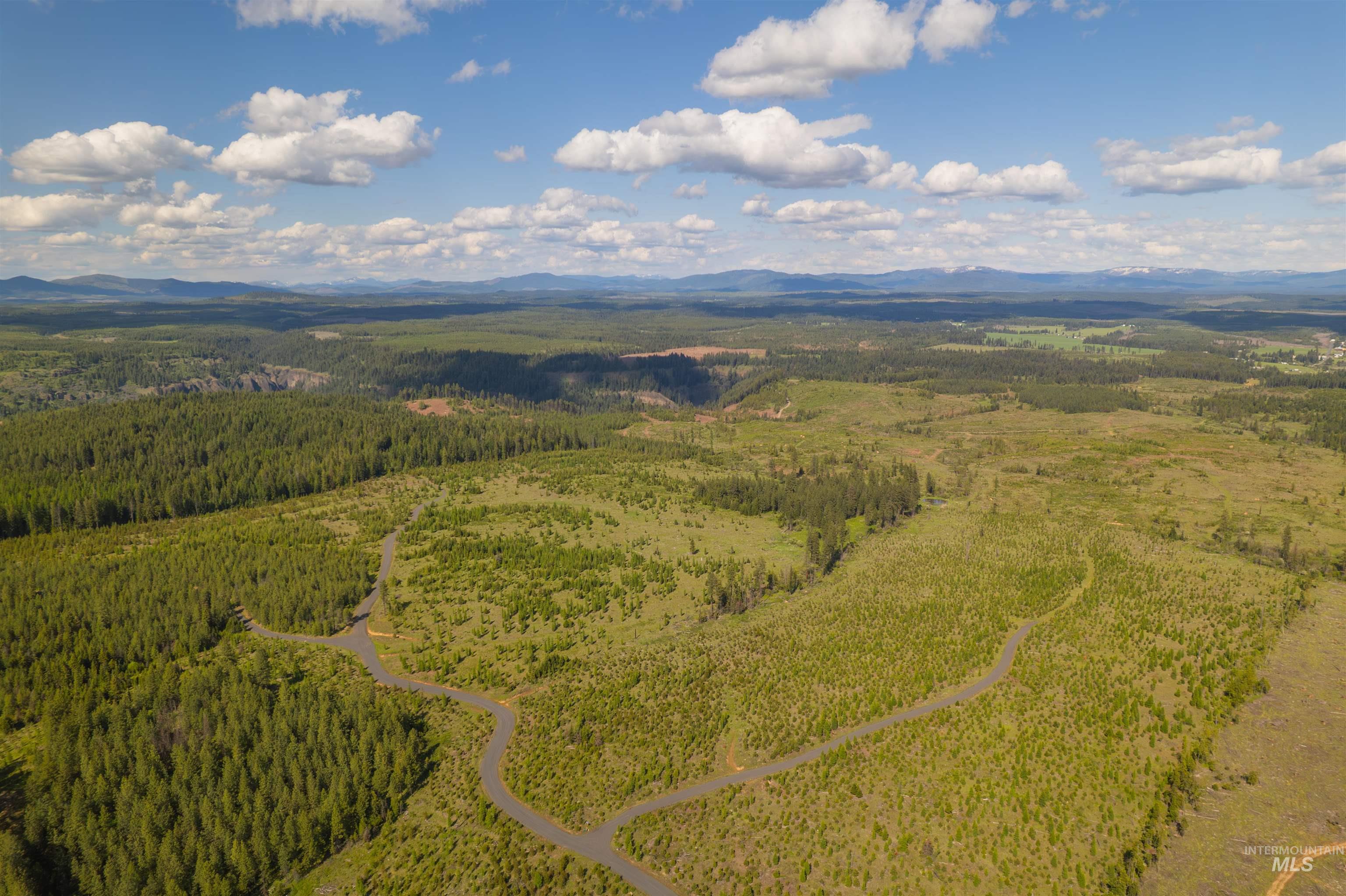 Aerial view of a heavily wooded area and a mountain backdrop