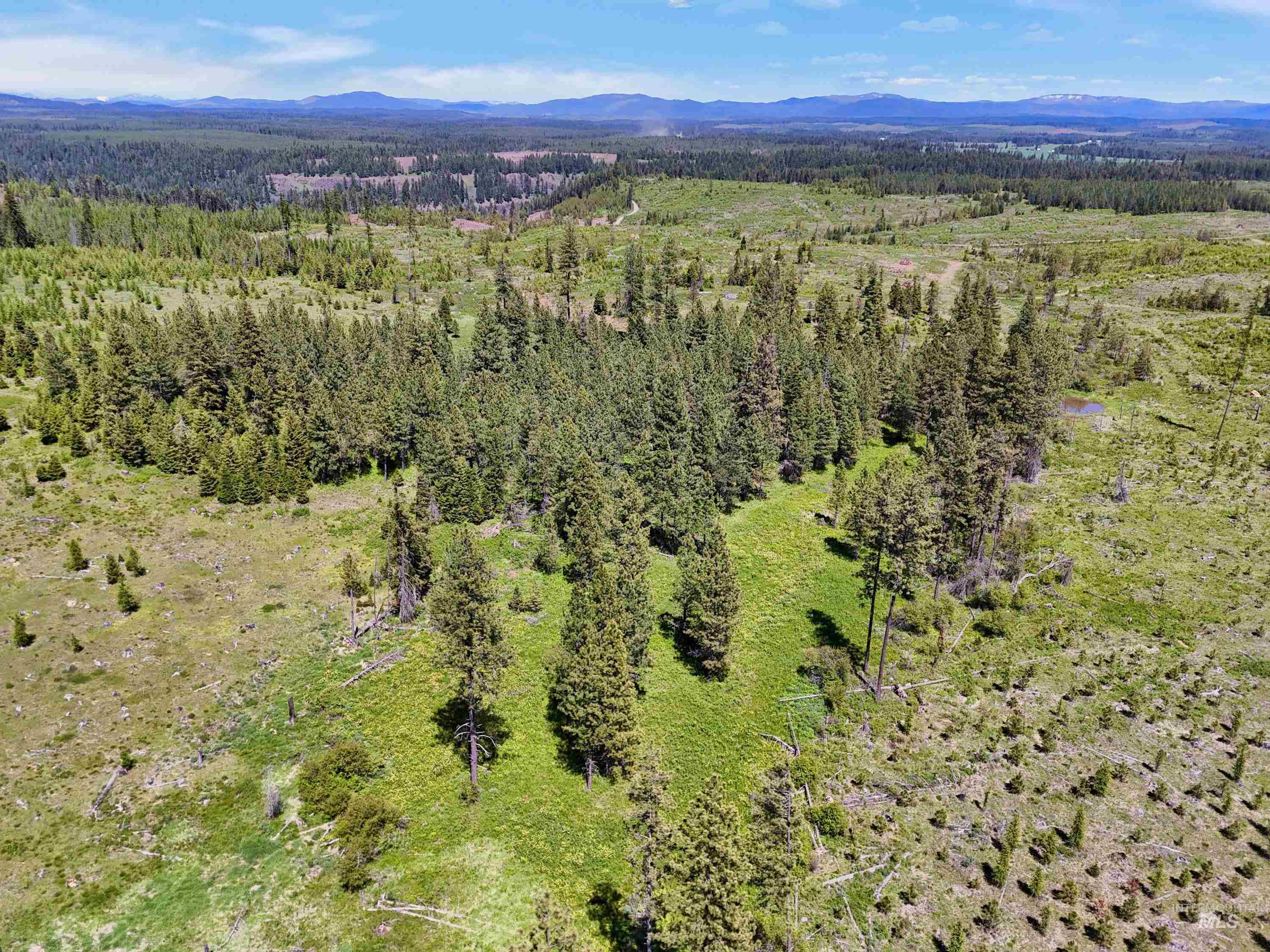 Aerial view of property and surrounding area with a forest and mountains