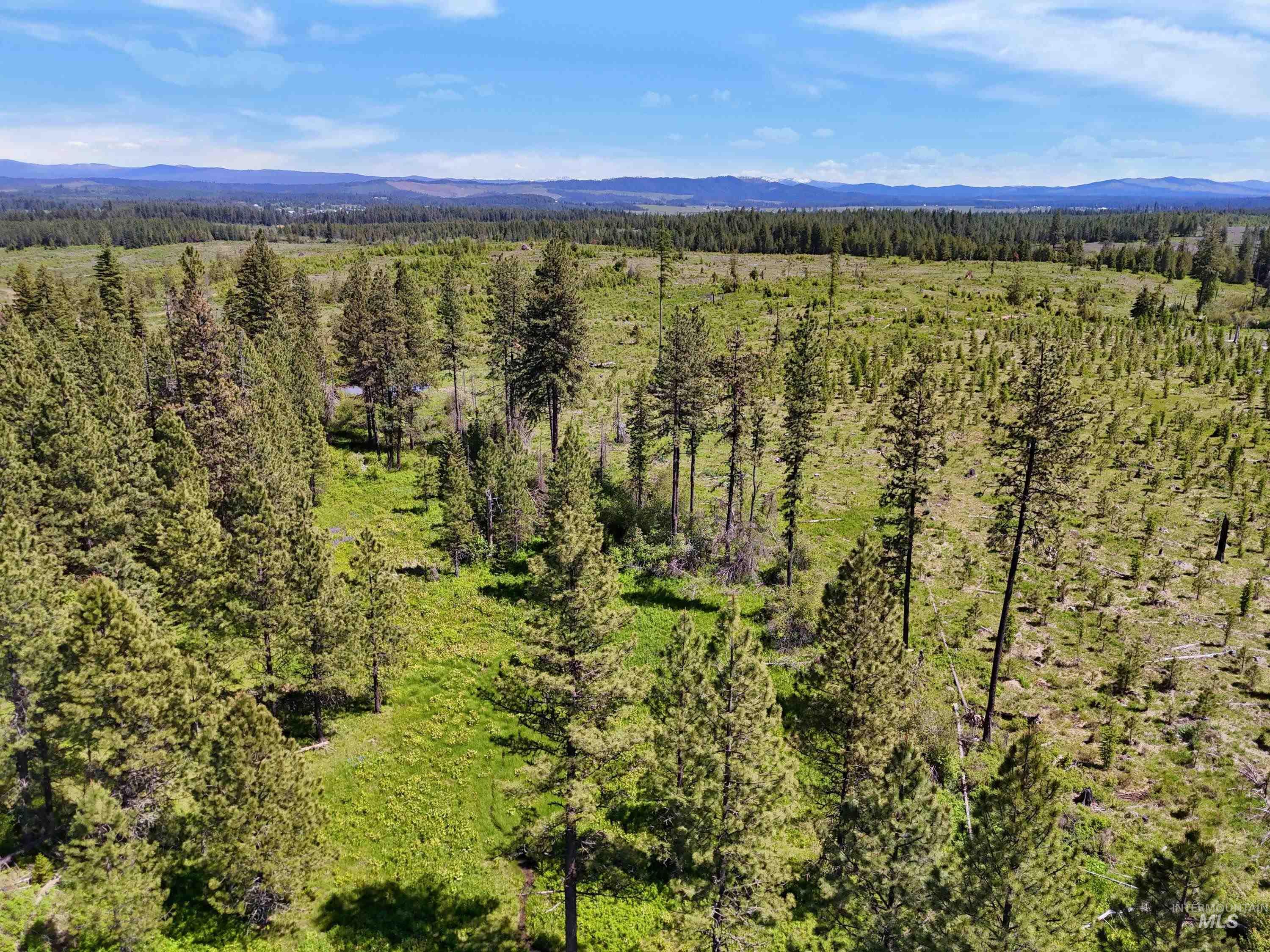 Drone / aerial view of a heavily wooded area and mountains