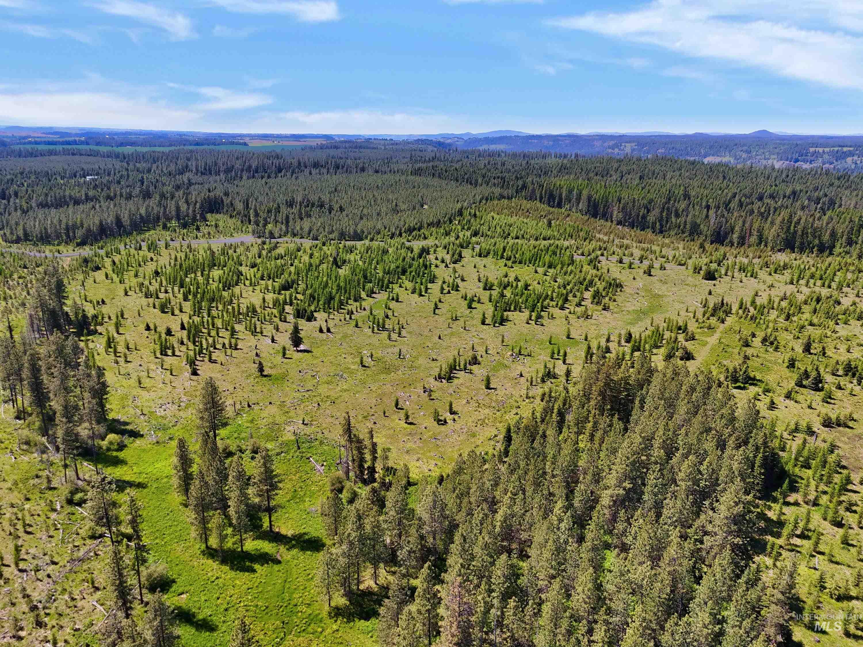 Bird's eye view of a mountain backdrop