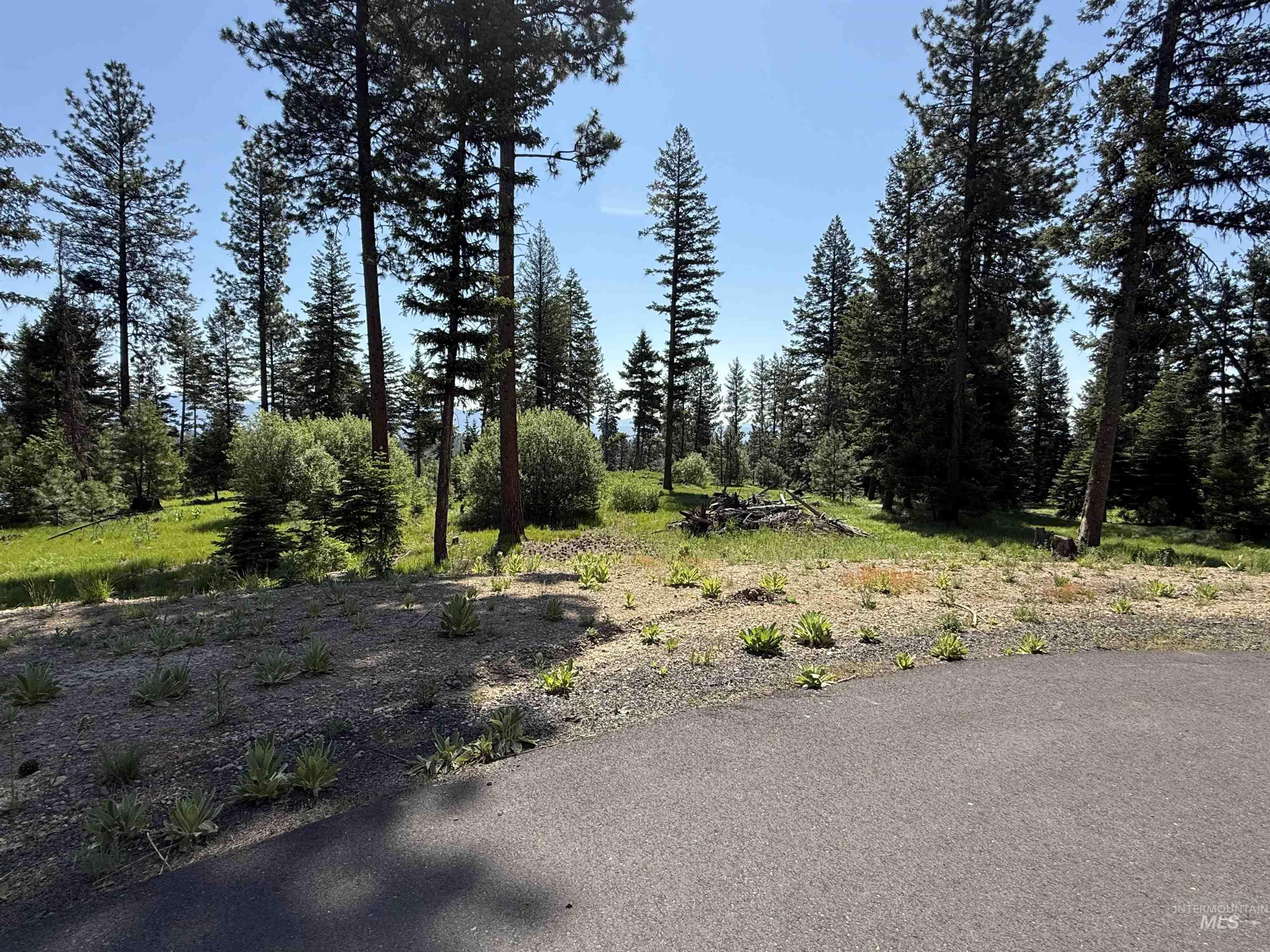 48 Bella View Dr, McCall, Idaho 83638, Land For Sale, Price $399,900, 98951802