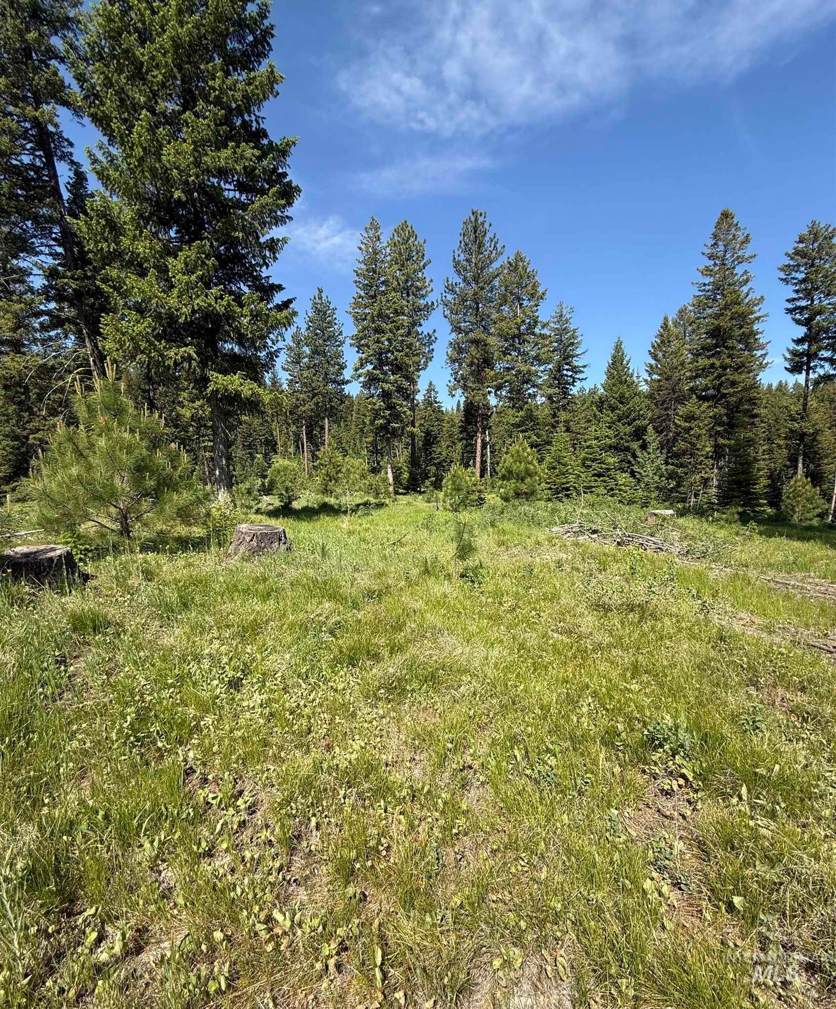 View of undeveloped land