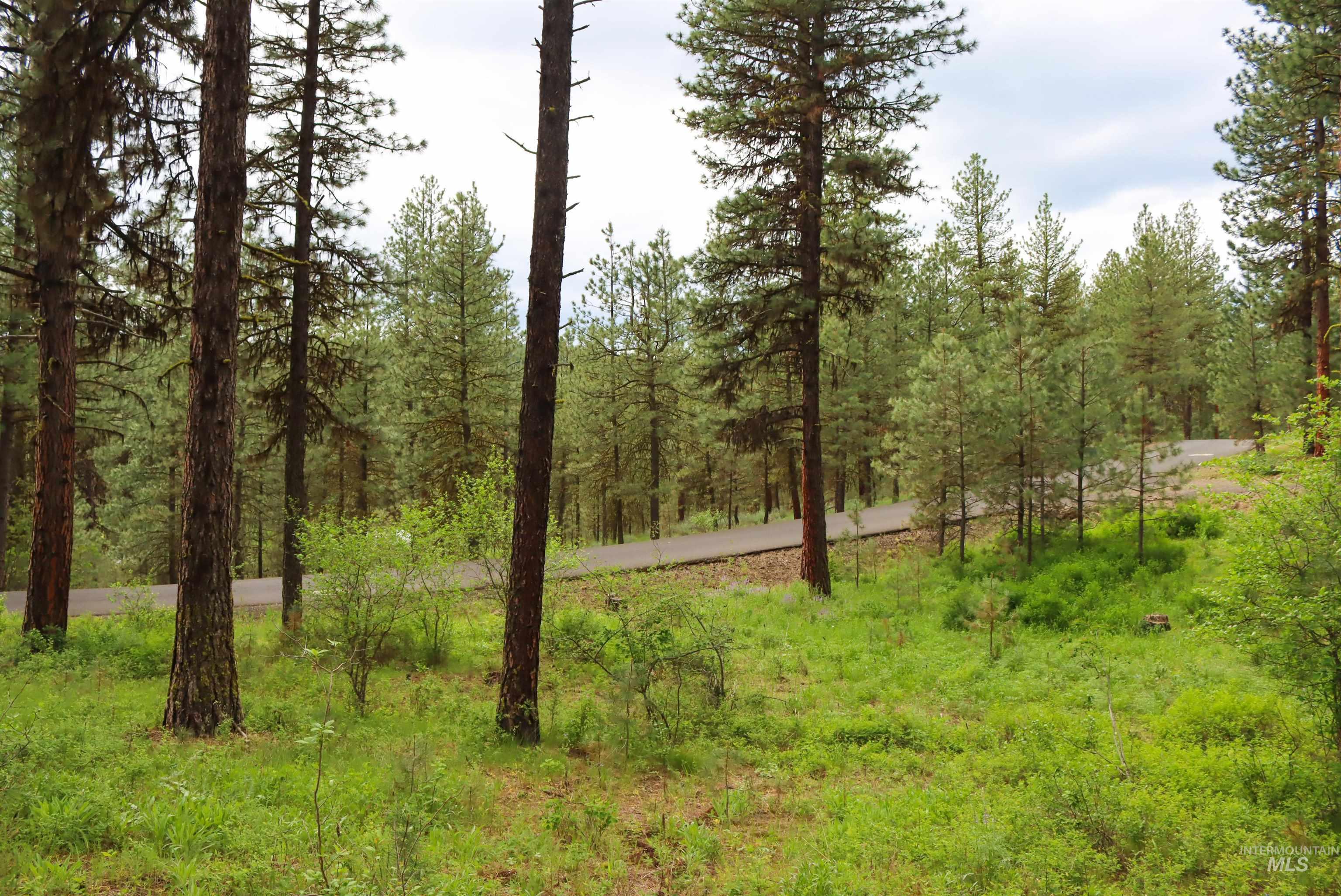 L1B11 Yarrow Dr, New Meadows, Idaho 83654, Land For Sale, Price $83,500, 98951830
