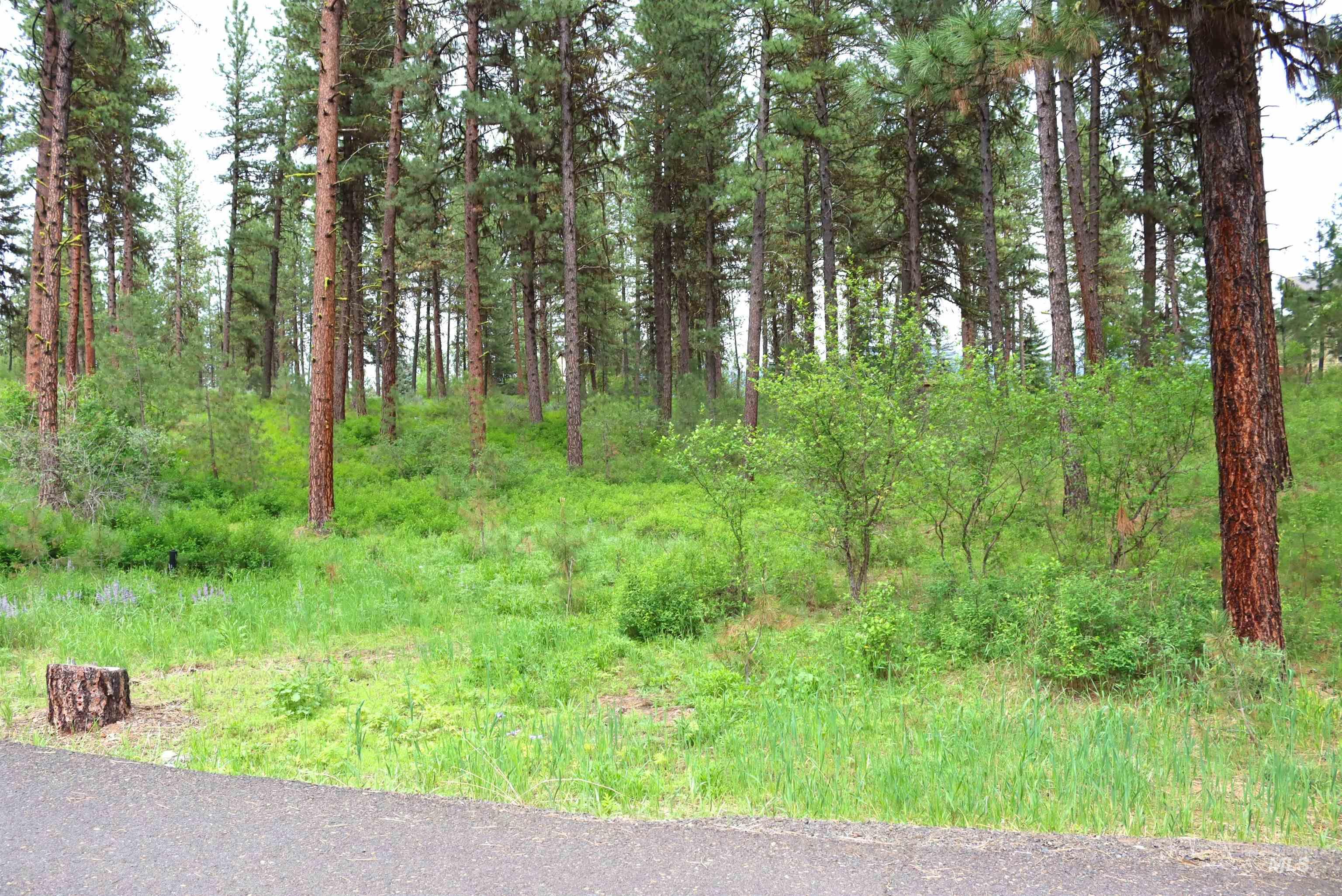 L1B11 Yarrow Dr, New Meadows, Idaho 83654, Land For Sale, Price $83,500, 98951830
