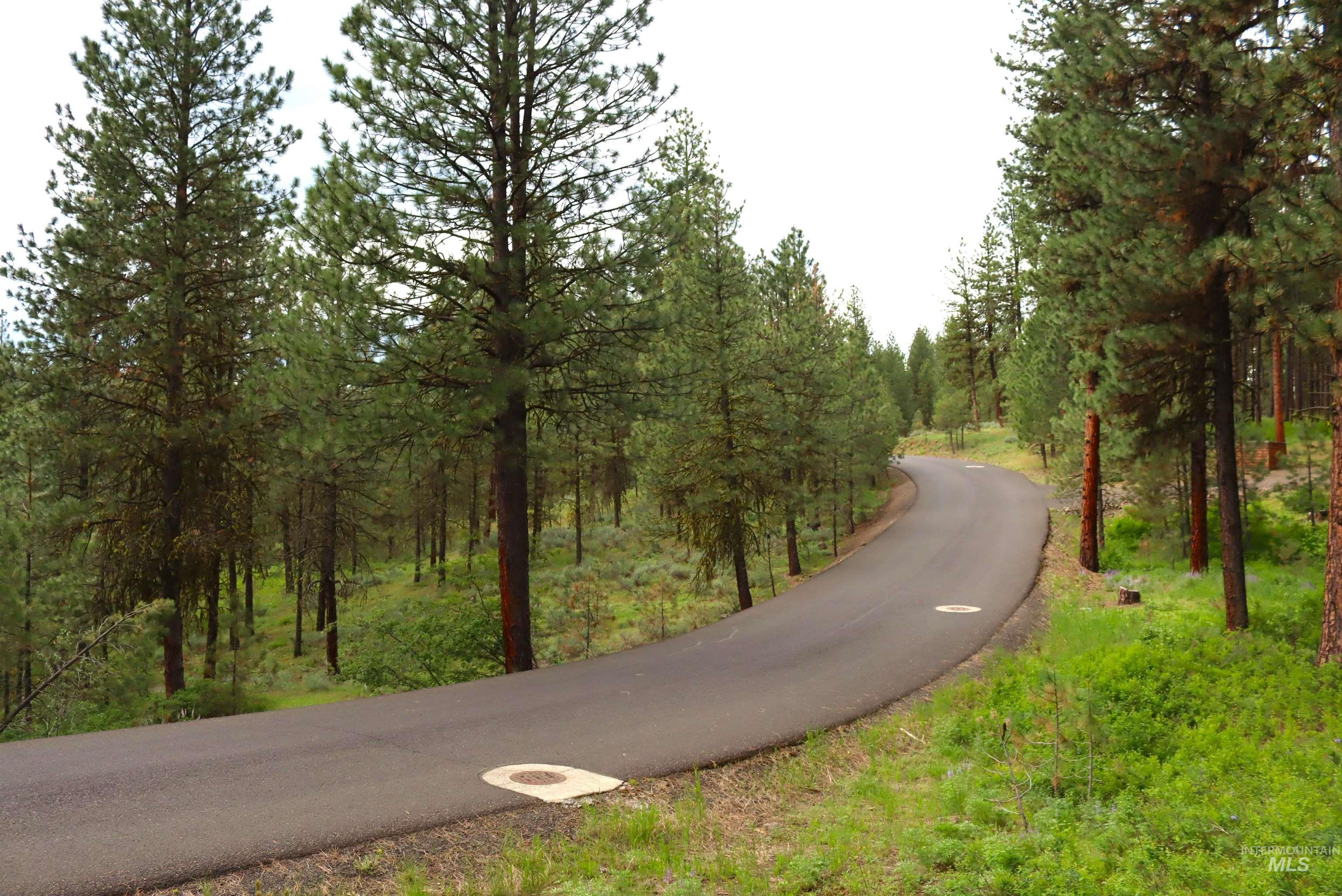 L1B11 Yarrow Dr, New Meadows, Idaho 83654, Land For Sale, Price $83,500, 98951830