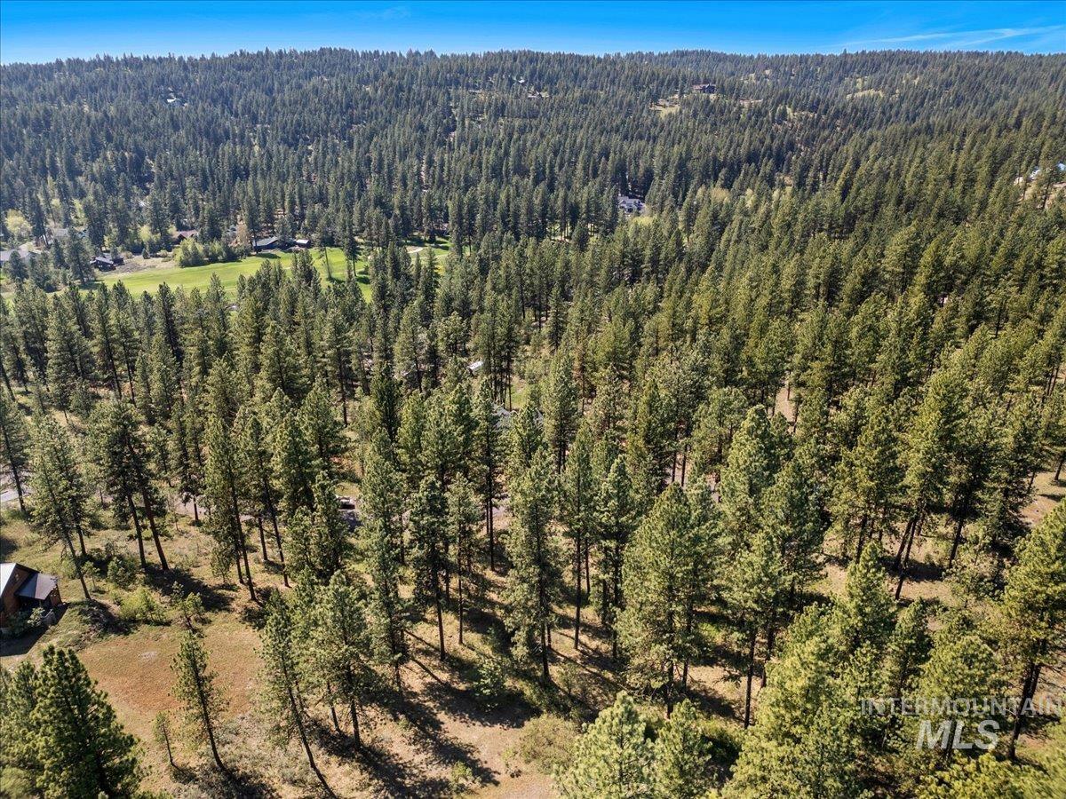 Drone / aerial view of a heavily wooded area