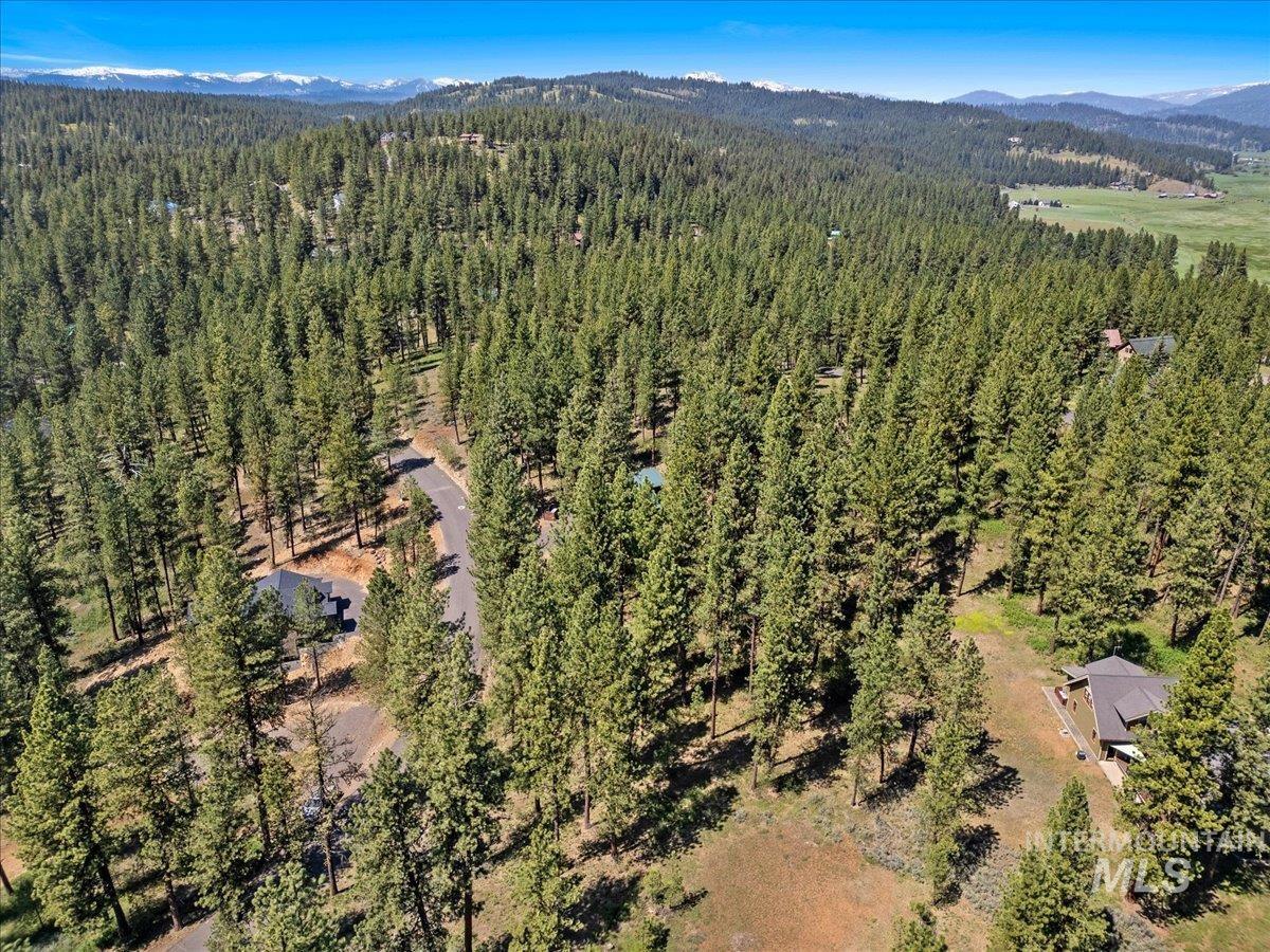 Aerial overview of property's location with a heavily wooded area and mountains
