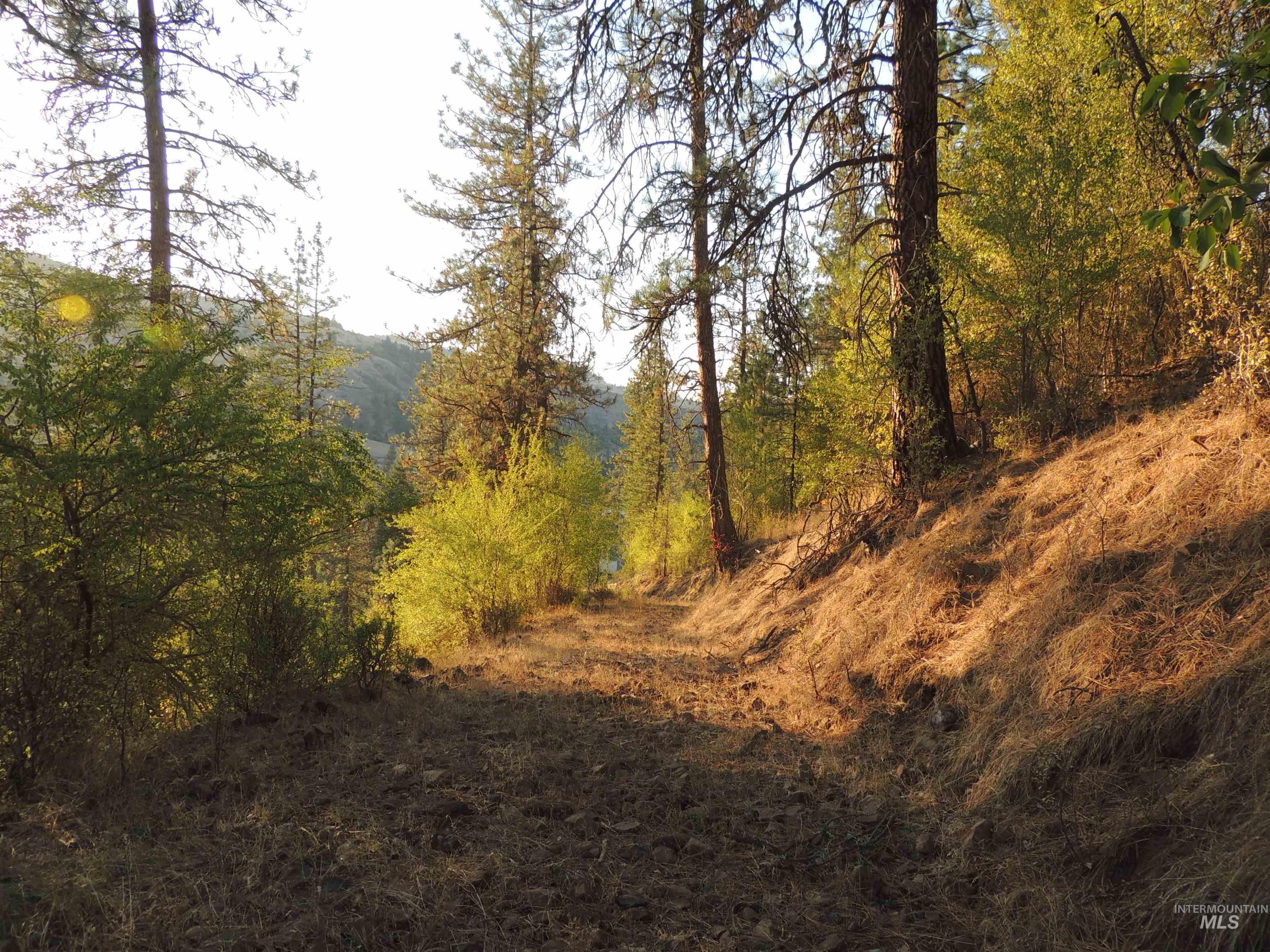 3976 Highway 13, Stites, Idaho 83552, Land For Sale, Price $29,990, 98952130