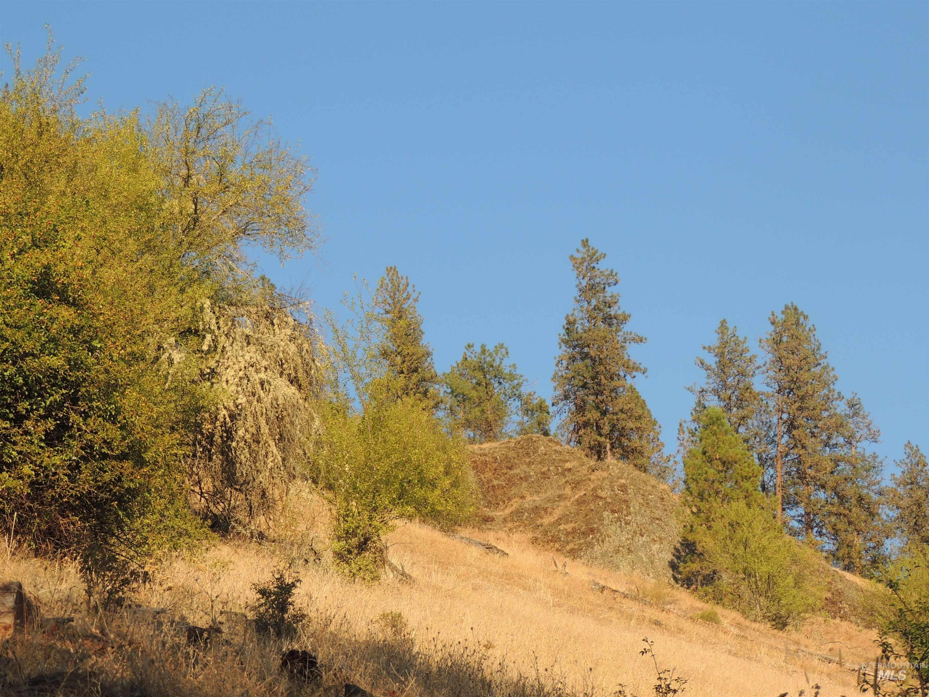 3976 Highway 13, Stites, Idaho 83552, Land For Sale, Price $29,990, 98952130