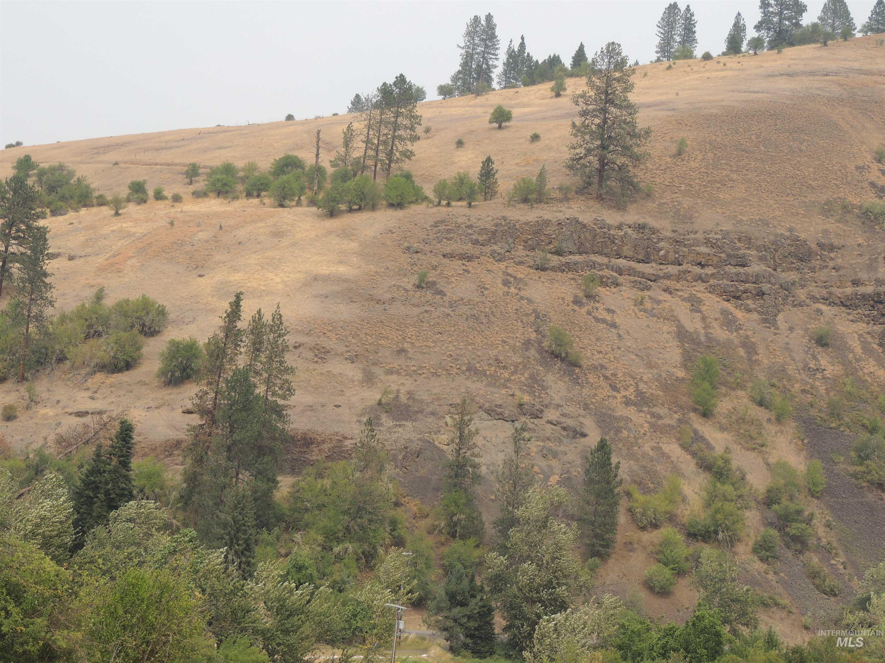 3976 Highway 13, Stites, Idaho 83552, Land For Sale, Price $29,990, 98952130