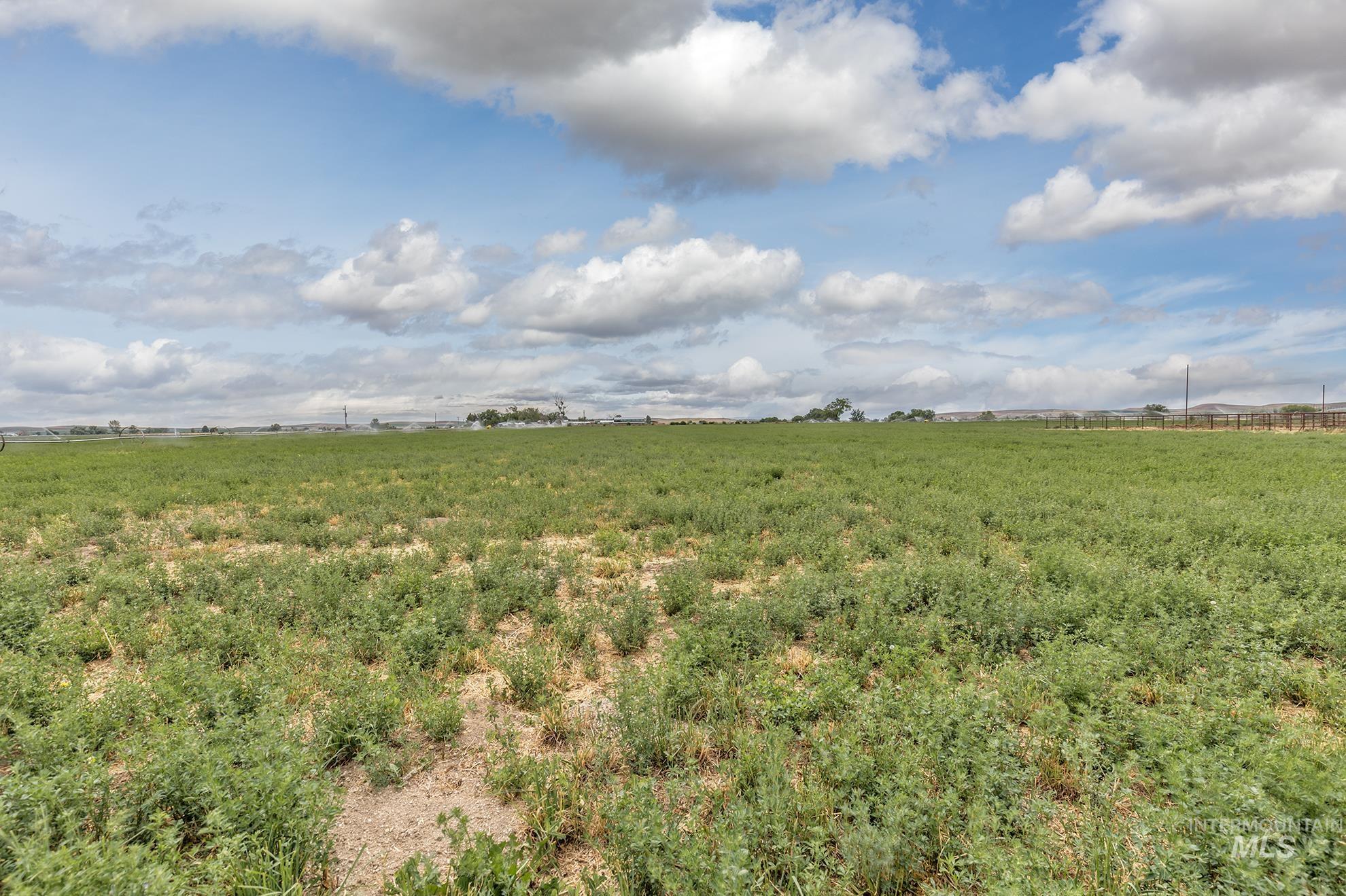 View of local wilderness featuring rural landscape