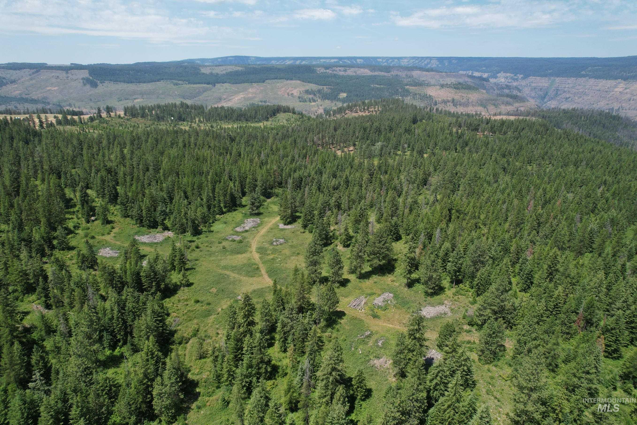 View of property location featuring a forest and mountains