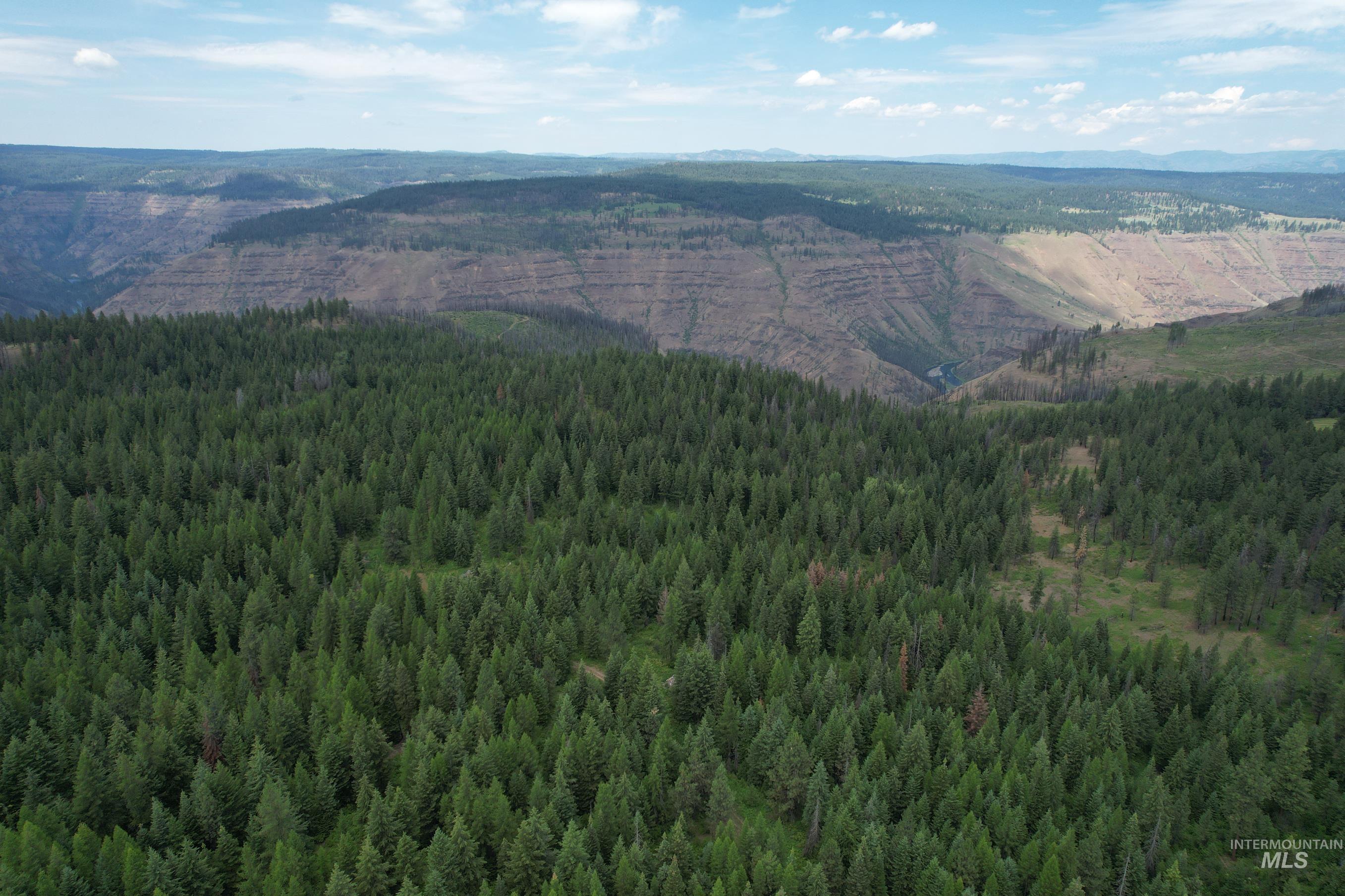 Aerial view of a mountain backdrop and a forest