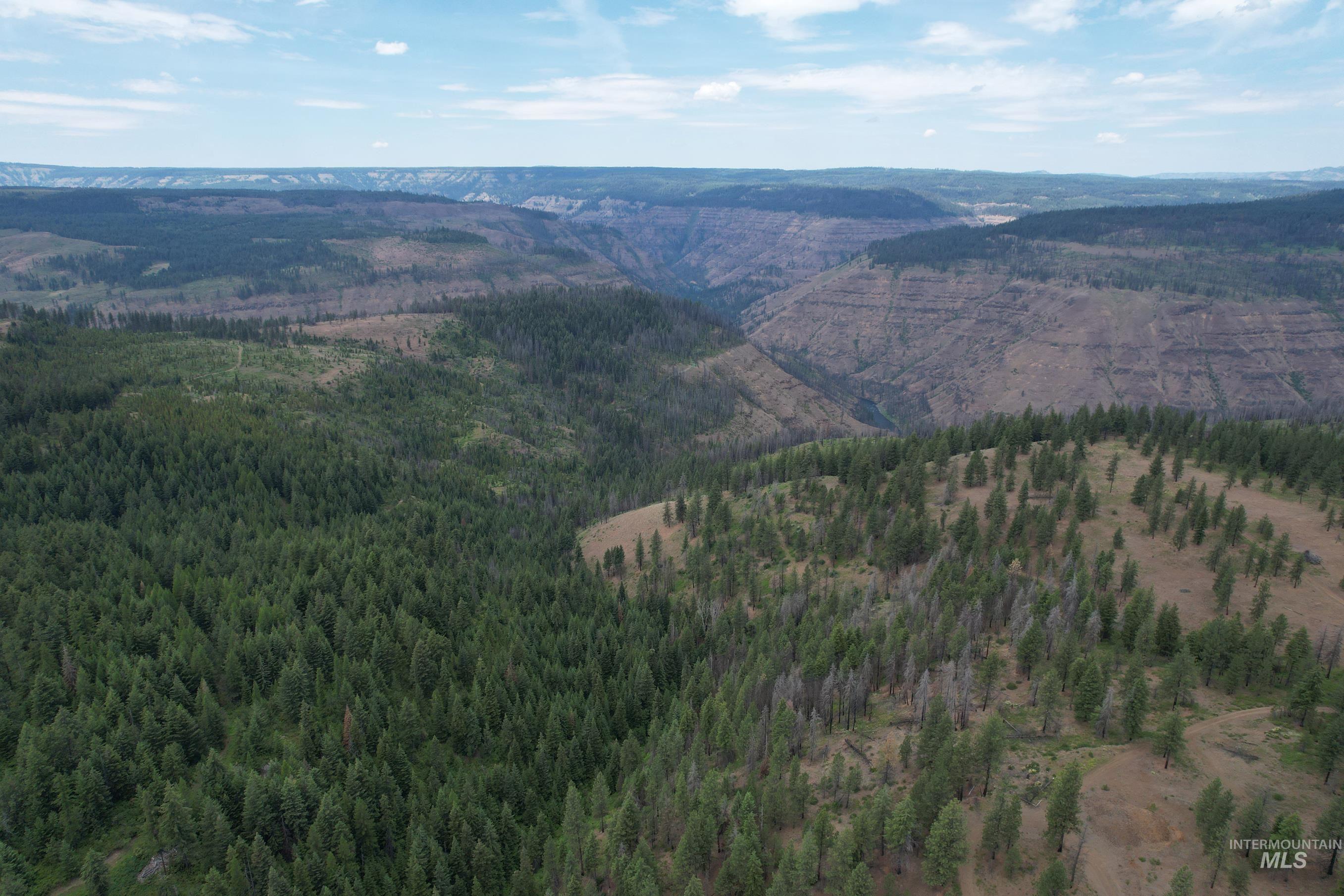 Drone / aerial view of a mountain backdrop and a forest