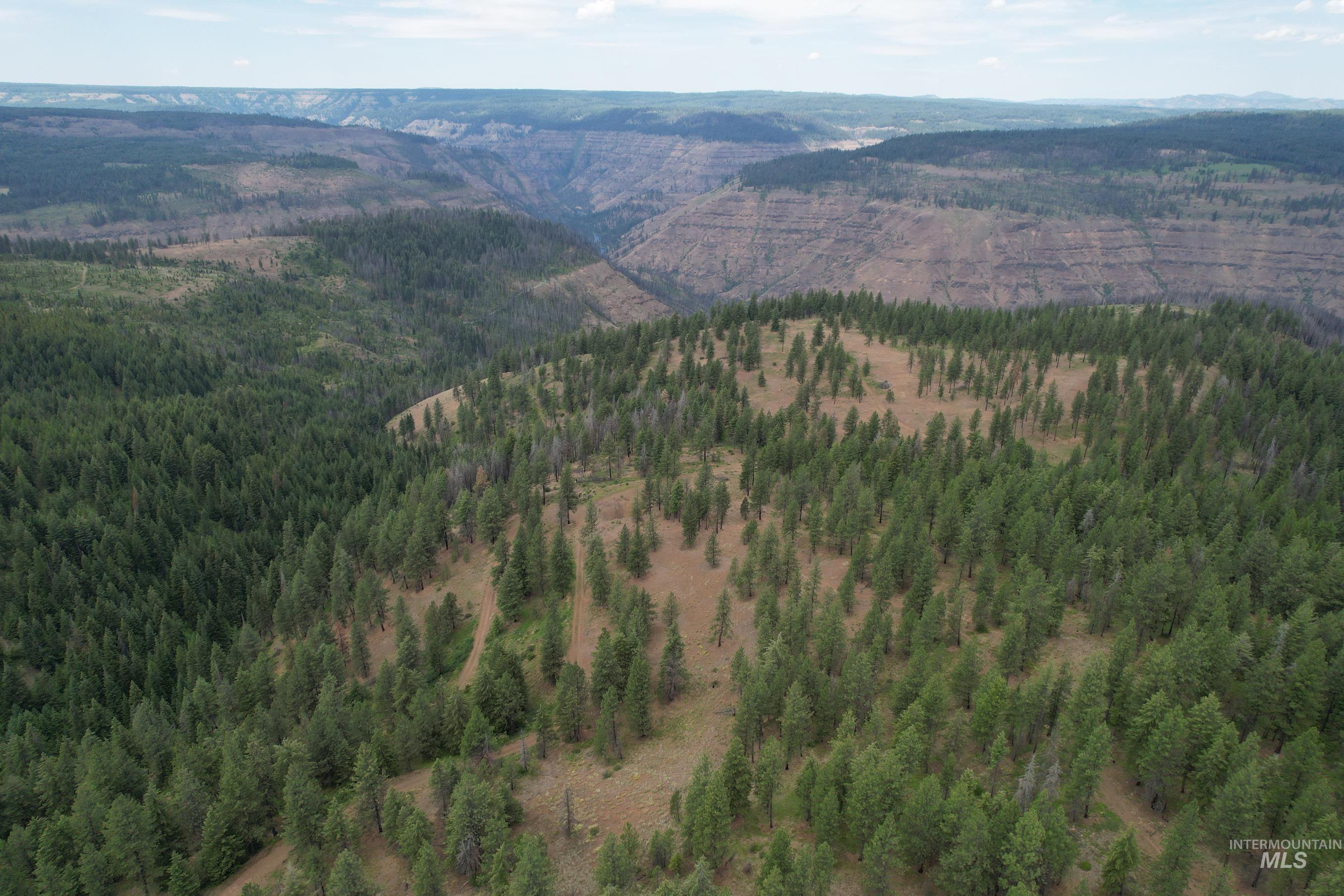 Aerial view of property and surrounding area featuring a mountainous background and a heavily wooded area