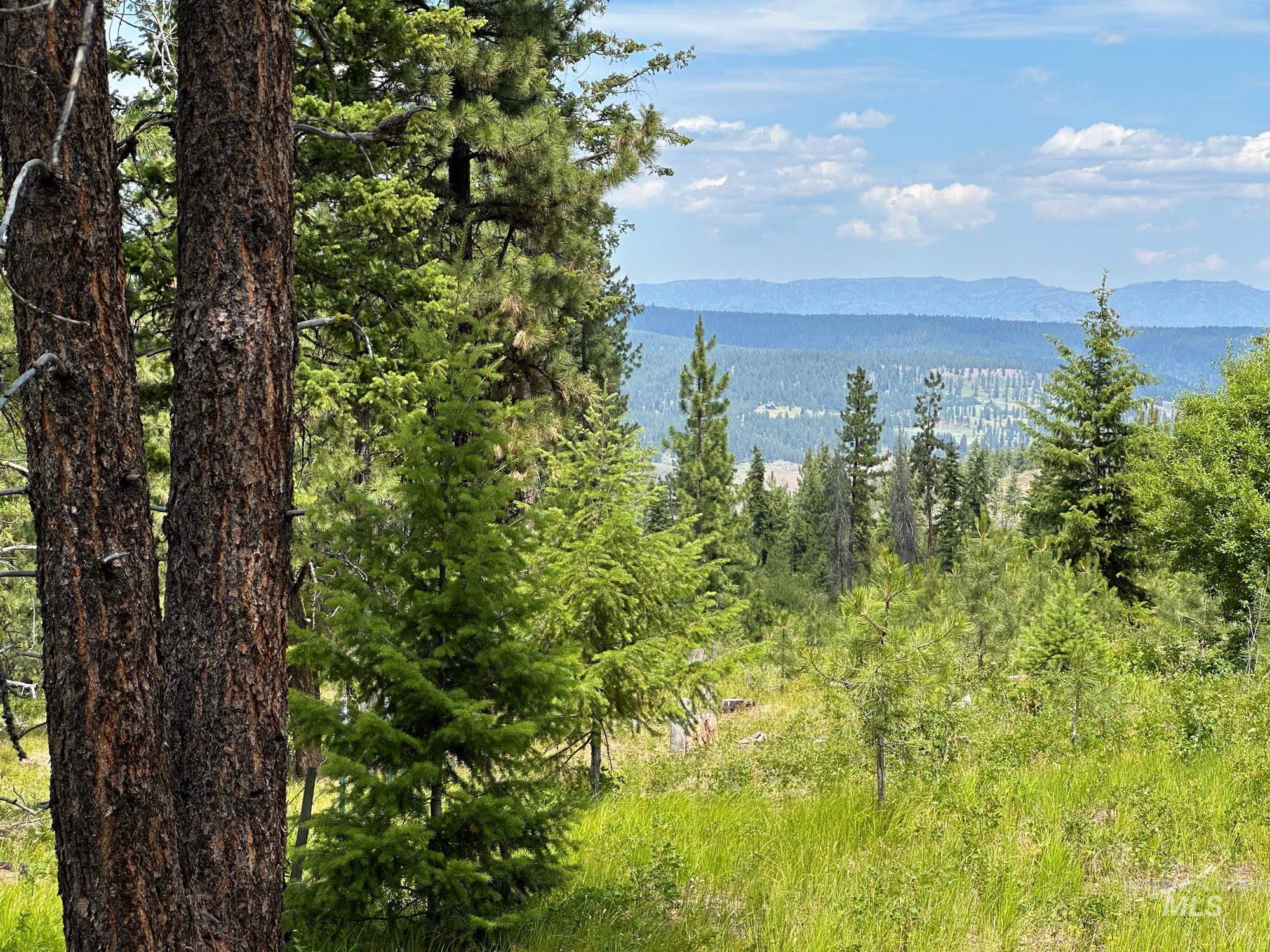Water view featuring a mountainous background and a heavily wooded area
