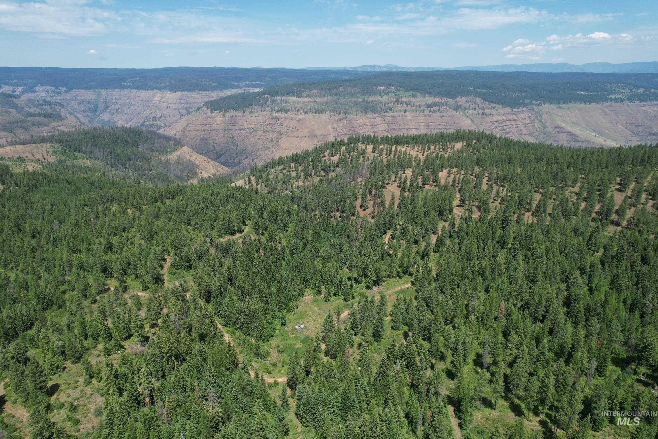 View of property location with a heavily wooded area and a mountainous background
