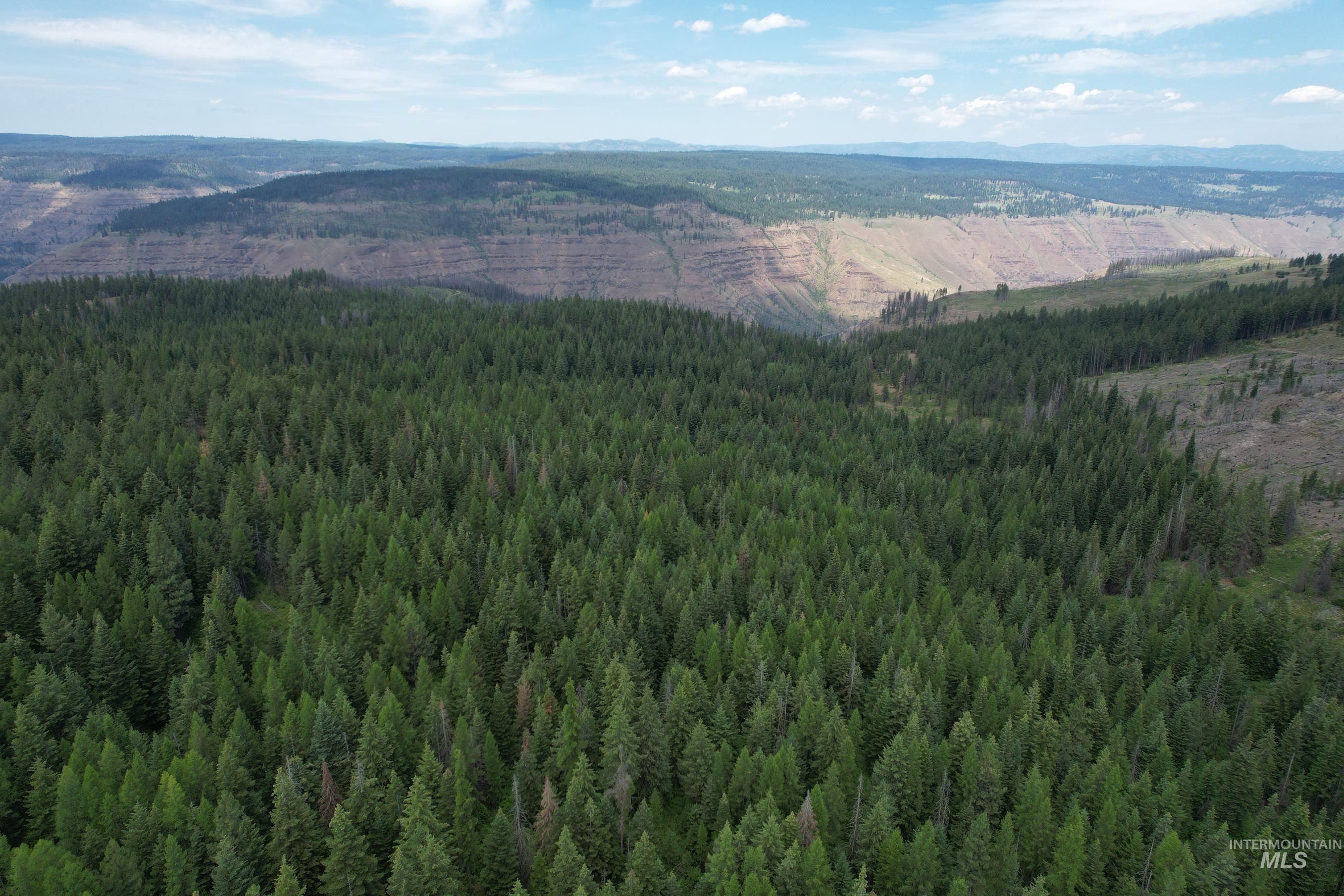 Aerial view of a mountainous background and a heavily wooded area