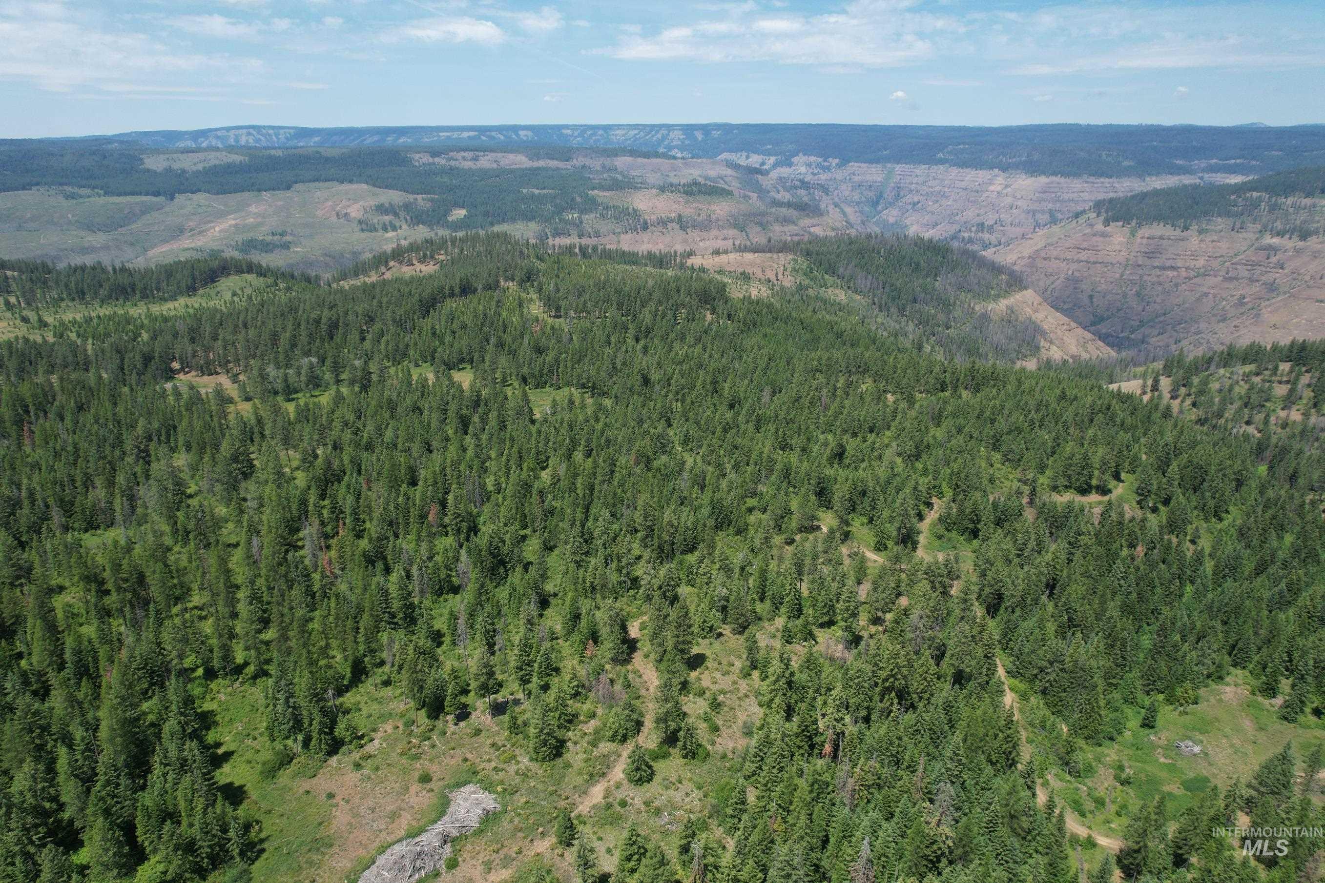 Aerial overview of property's location featuring a mountain backdrop and a heavily wooded area