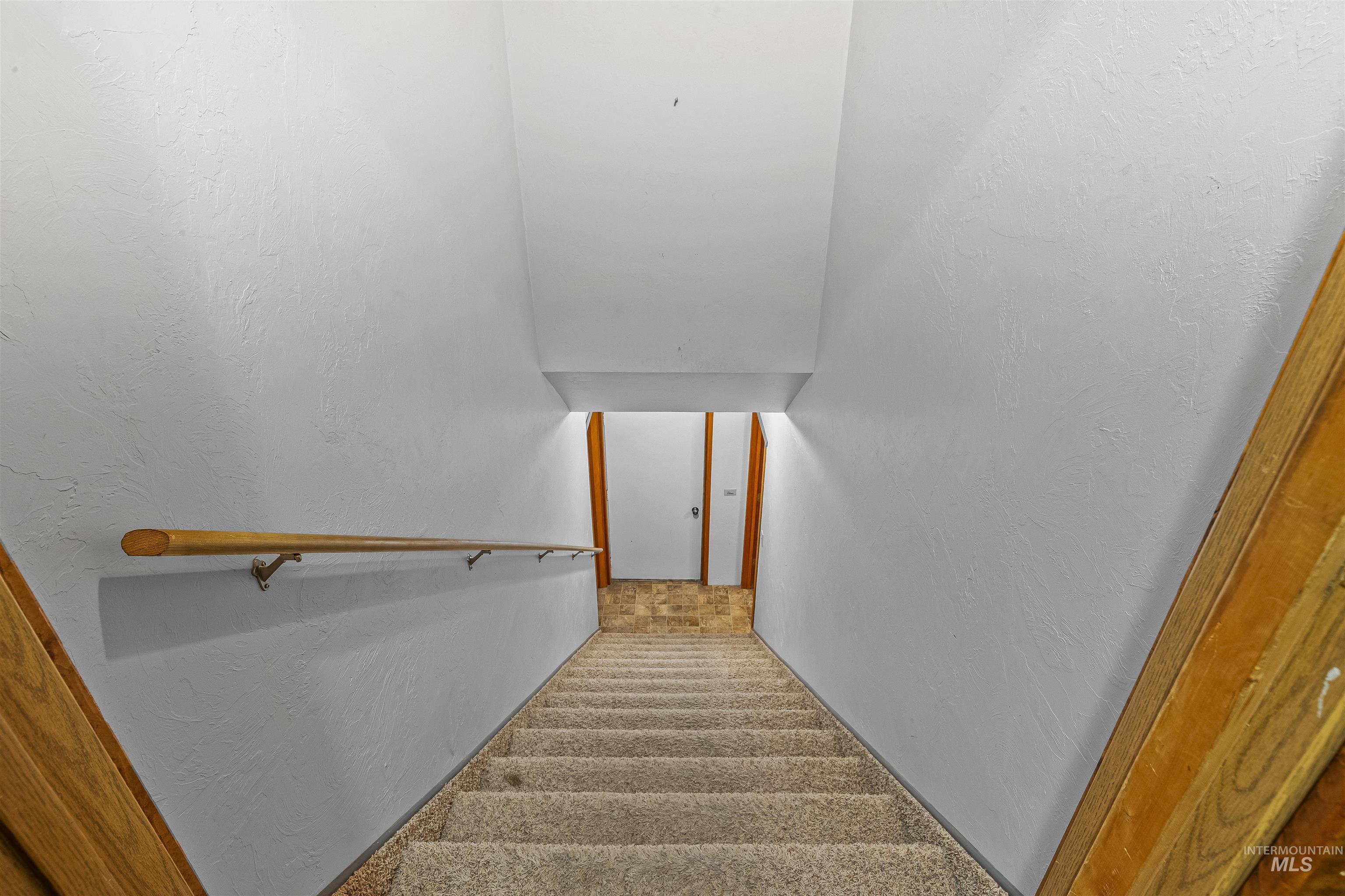 Stairway featuring carpet floors