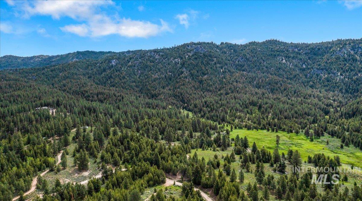 Drone / aerial view of a forest and mountains