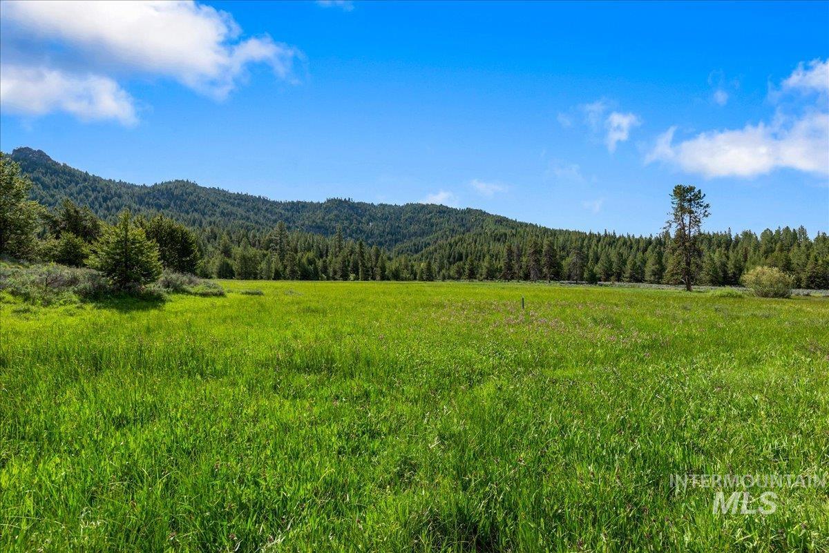 Mountain view featuring a forest and rural landscape