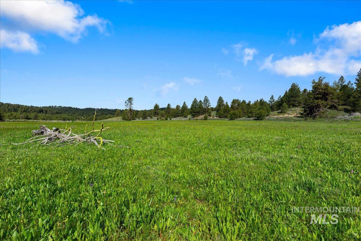 View of yard with a rural view