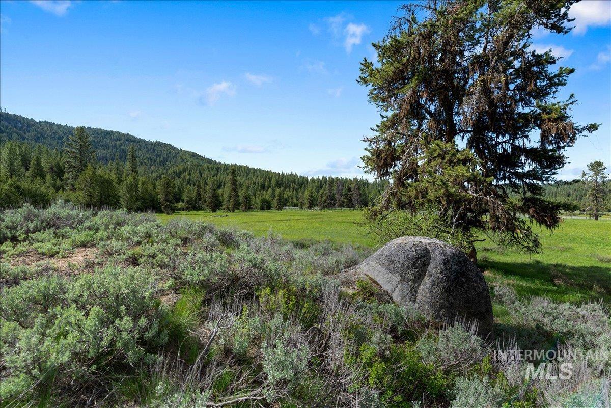 View of mountain background featuring a forest
