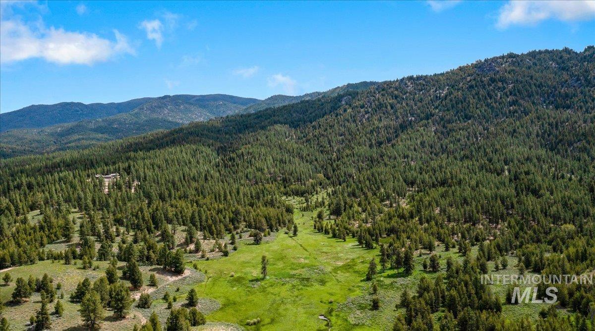Mountain view with a forest