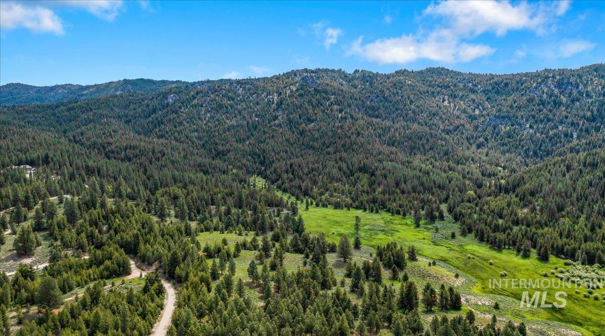 Mountain view featuring a heavily wooded area
