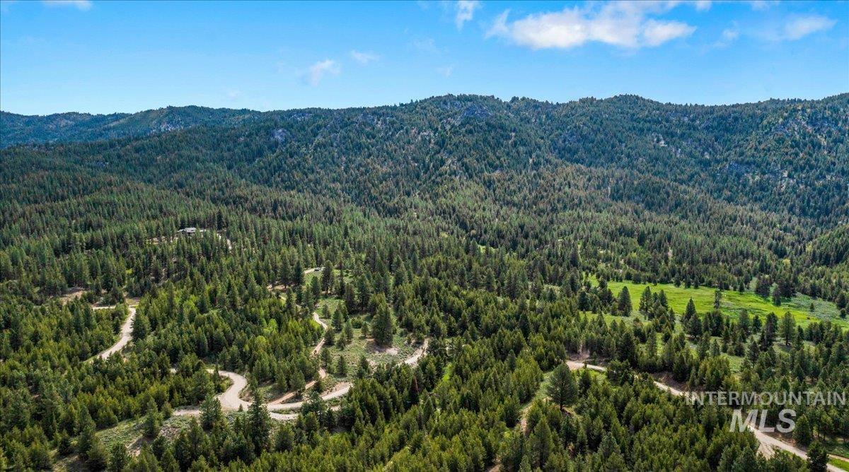 View of mountain background featuring a heavily wooded area