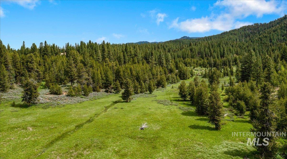 View of mountain backdrop with a forest