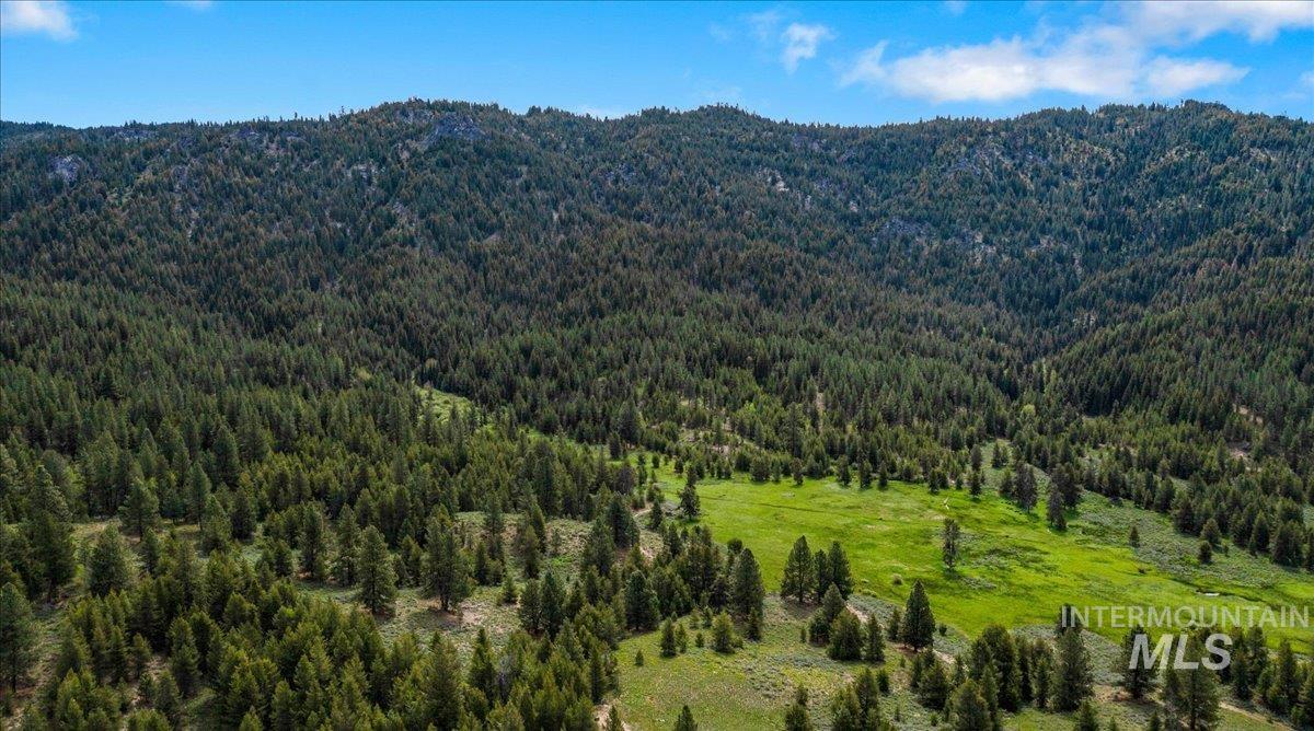 View of mountain background with a forest