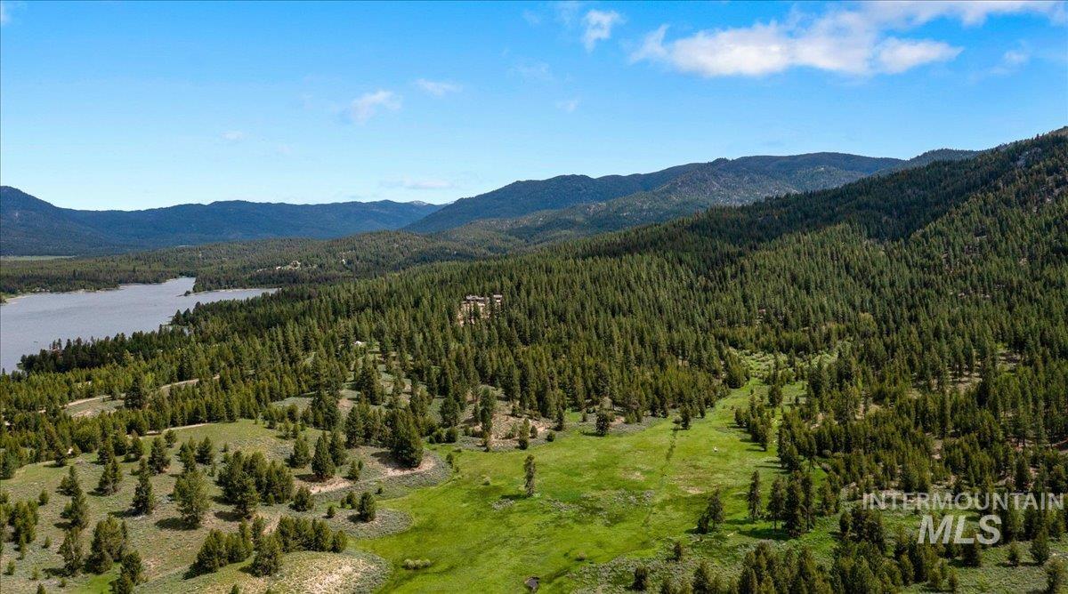 Mountain view featuring a forest and a nearby body of water
