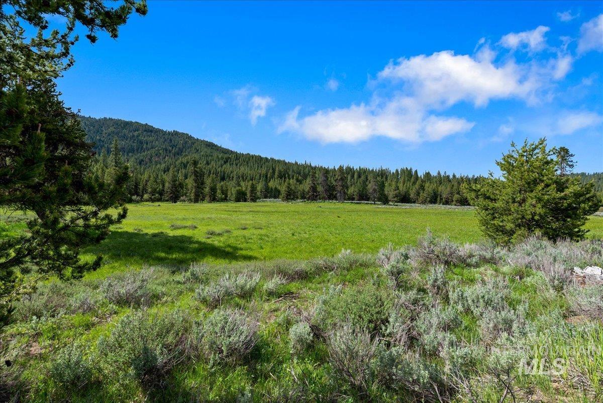 View of mountain background with a heavily wooded area