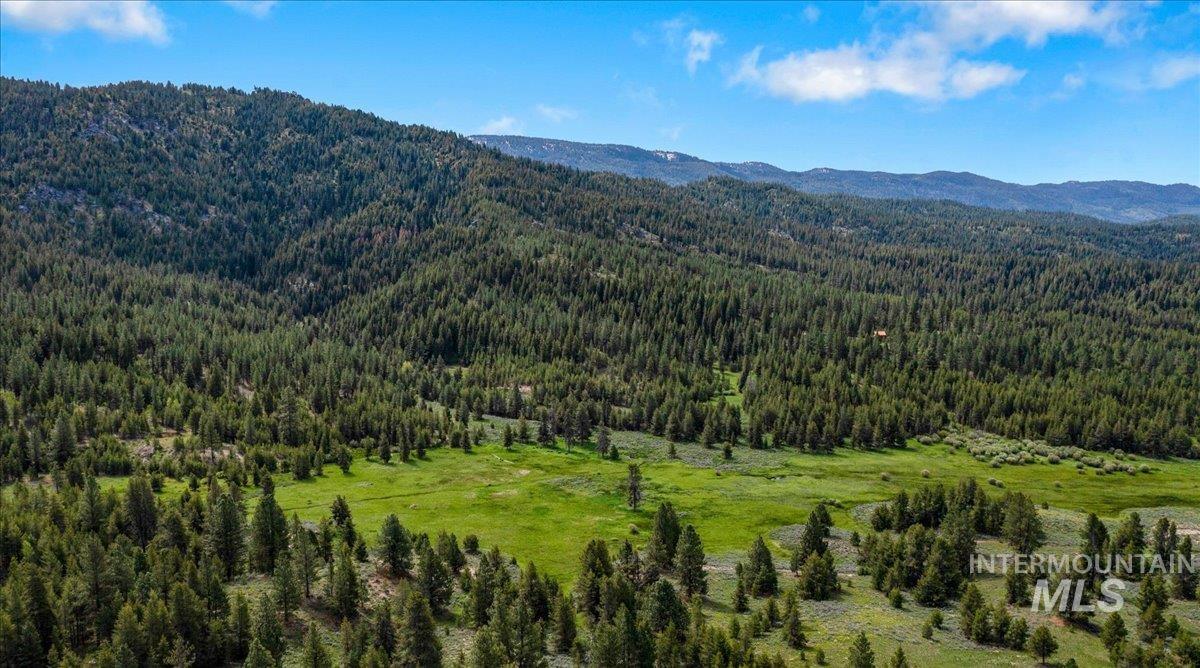 View of mountain background featuring a heavily wooded area