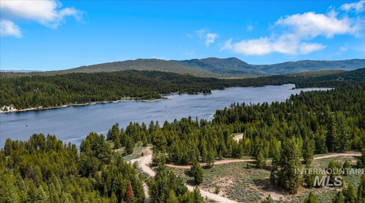 View of mountain backdrop with a forest and a large body of water