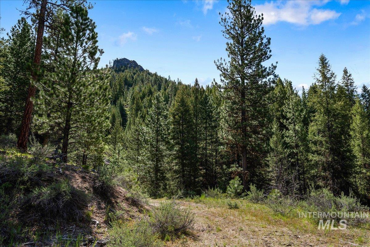 View of wooded area featuring a mountain view