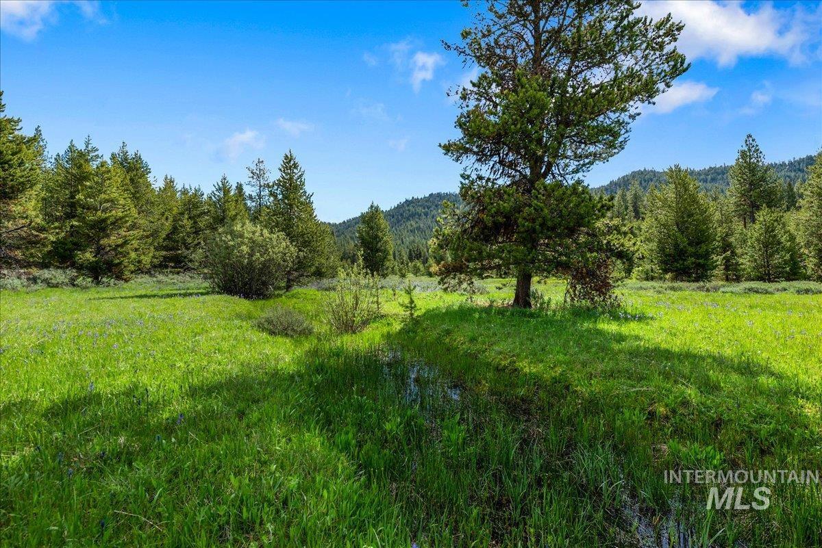 View of tree filled area with a mountain view