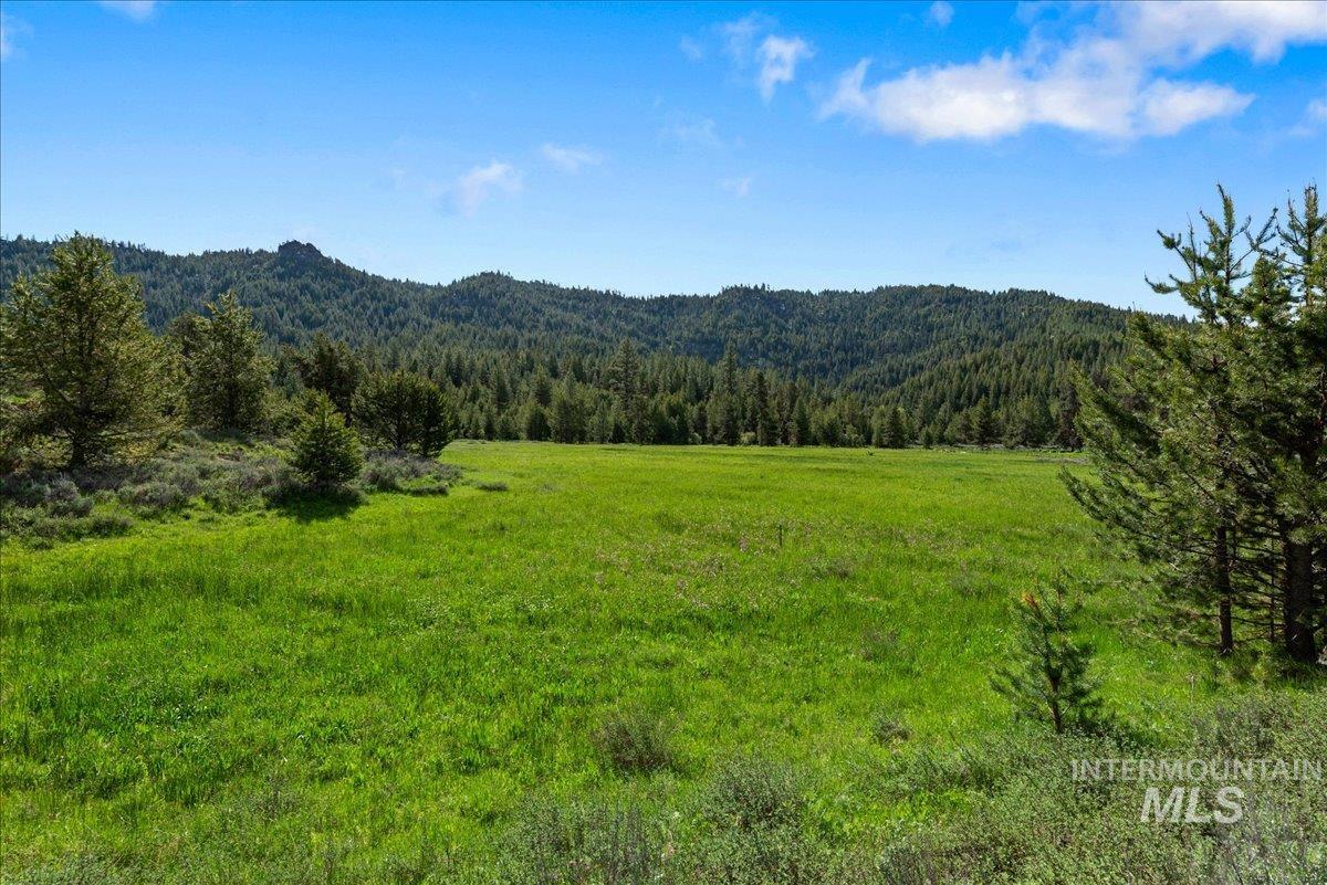 View of mountain background with a heavily wooded area
