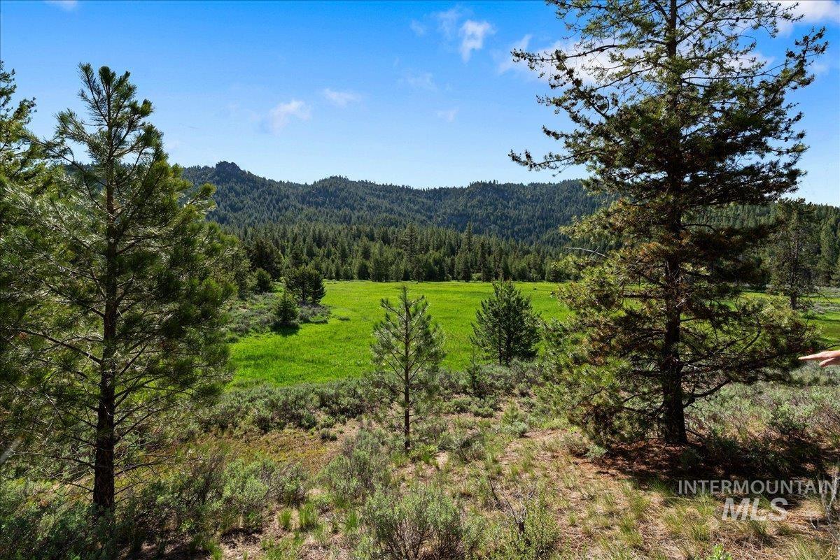 View of mountain background with a forest