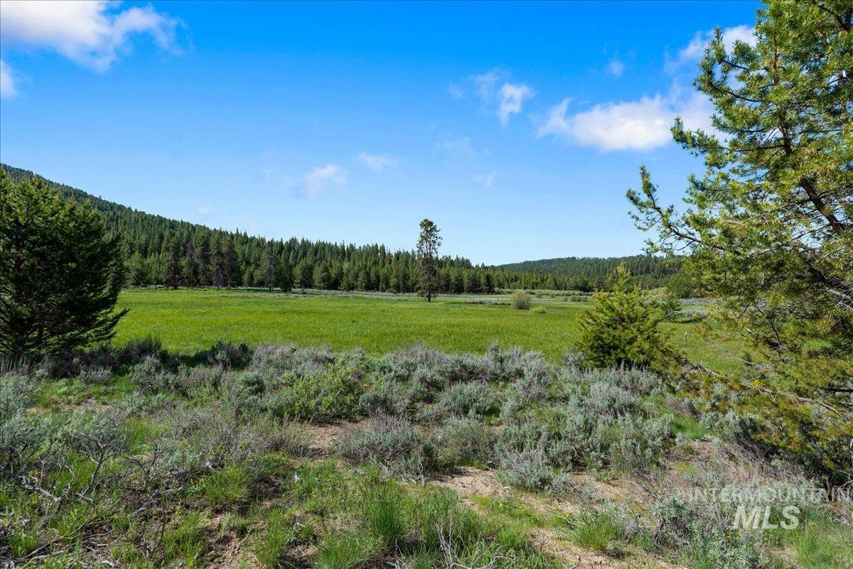 View of wooded area