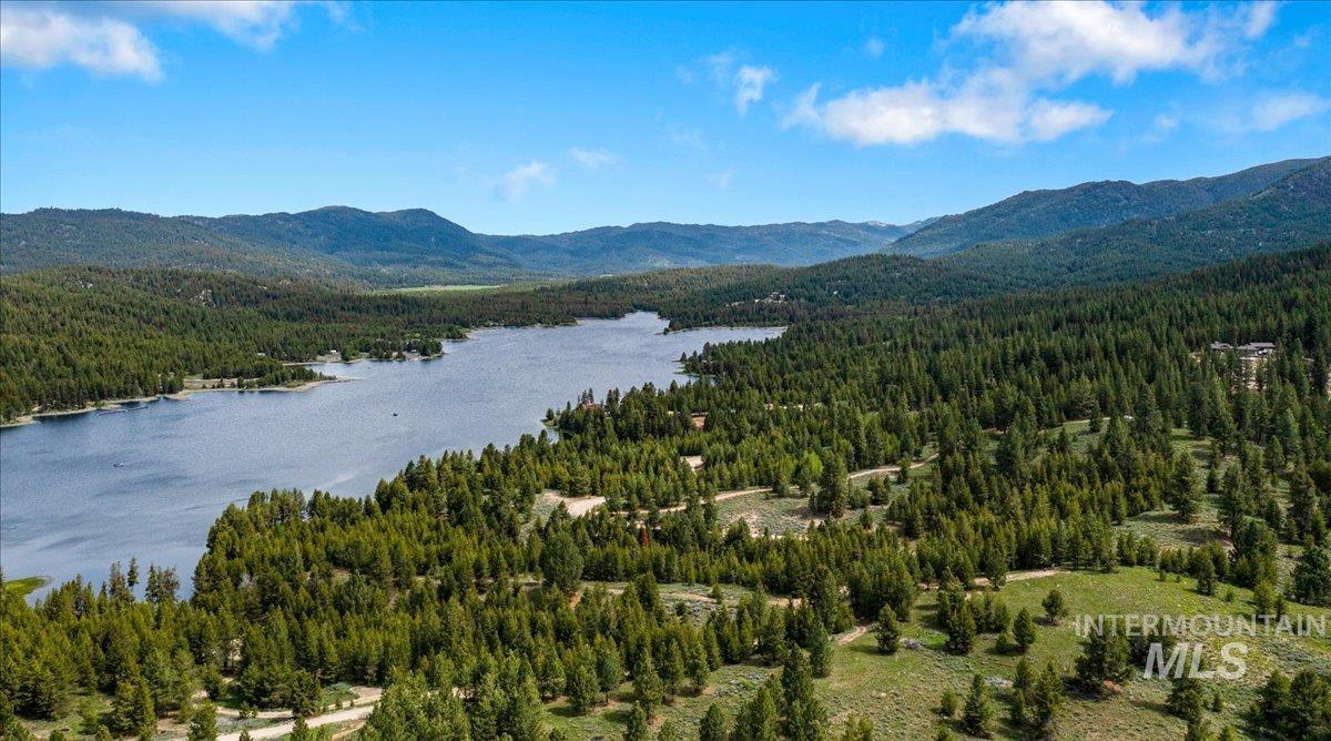Aerial view of a forest and a water and mountain view
