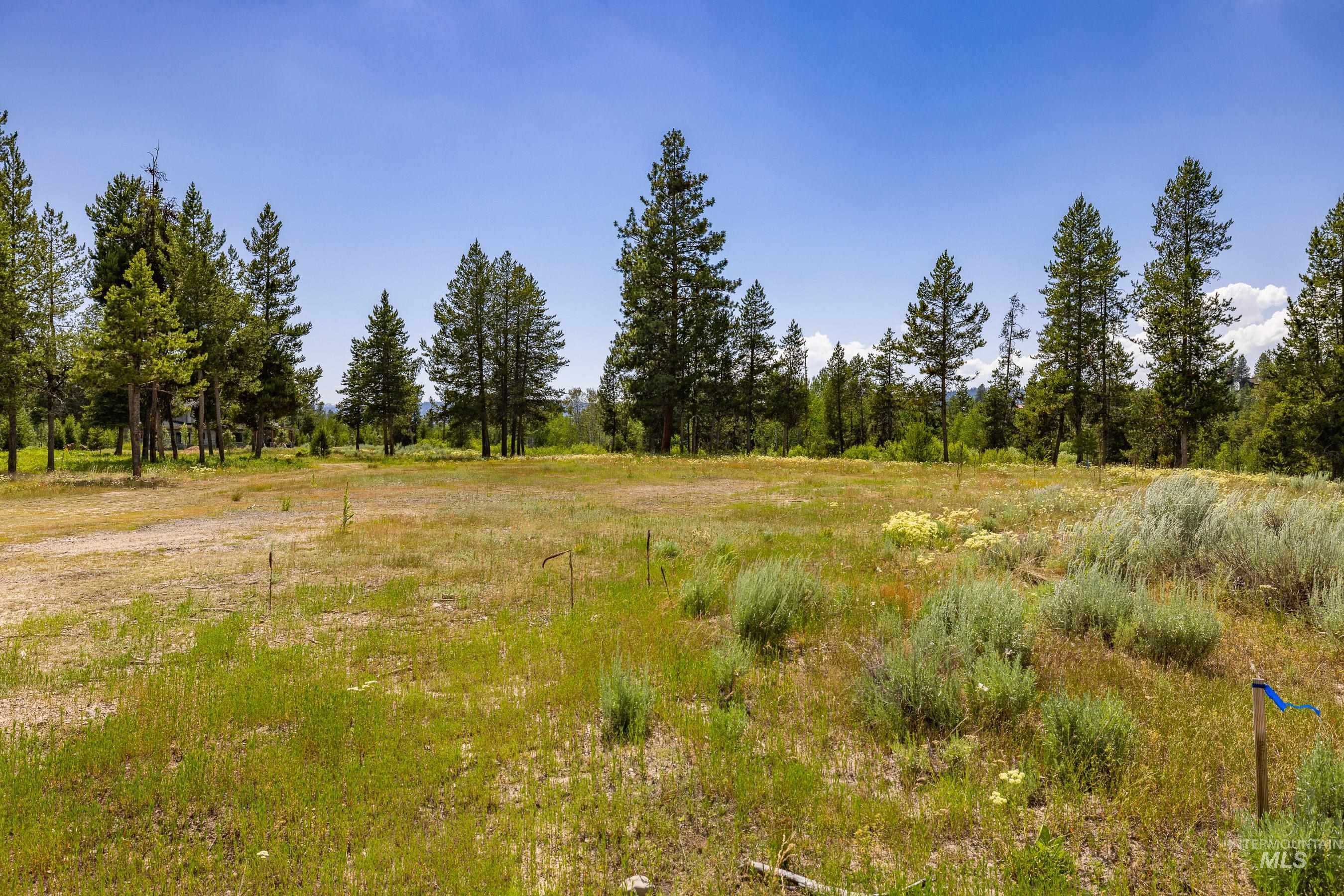 View of undeveloped land