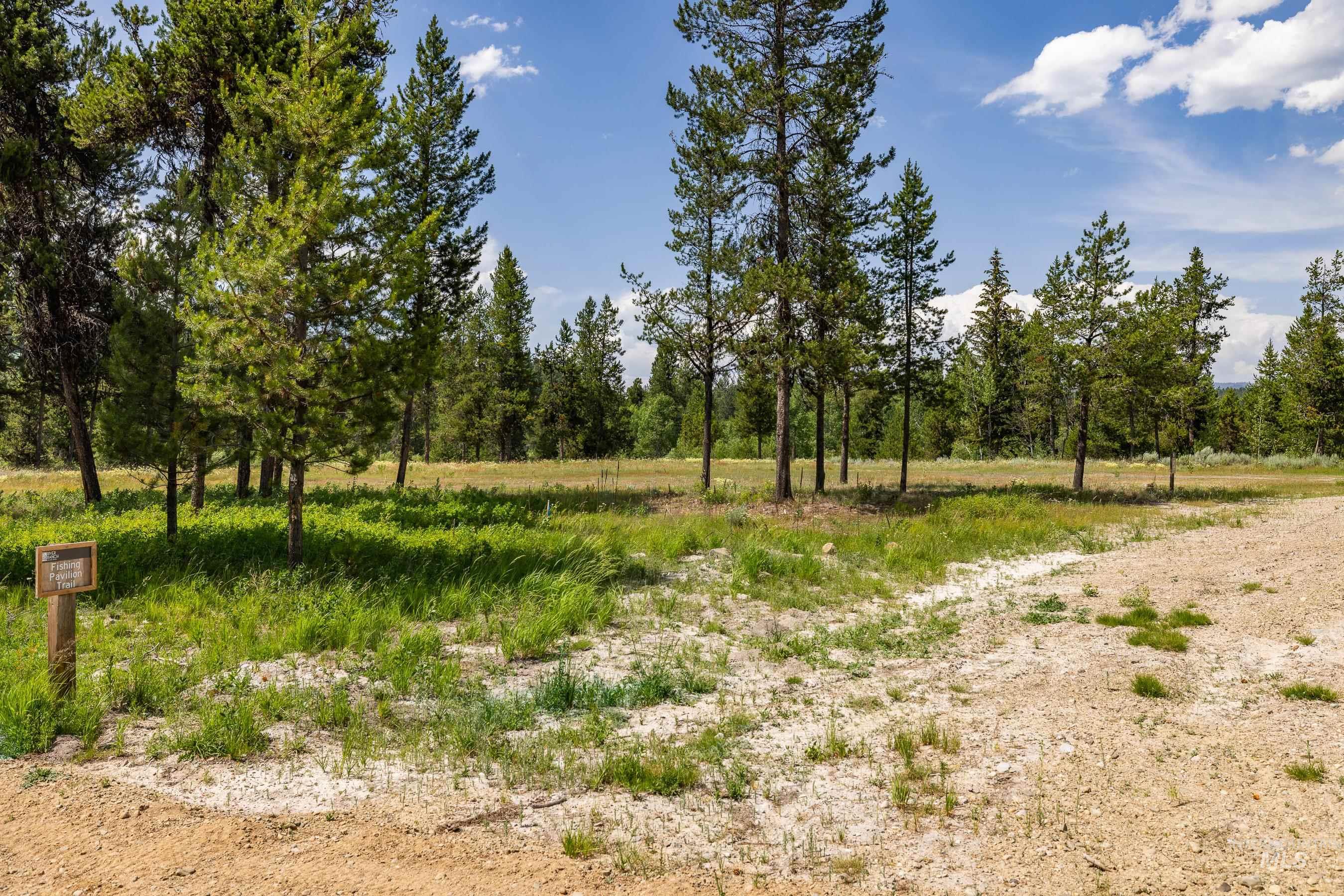 View of undeveloped land
