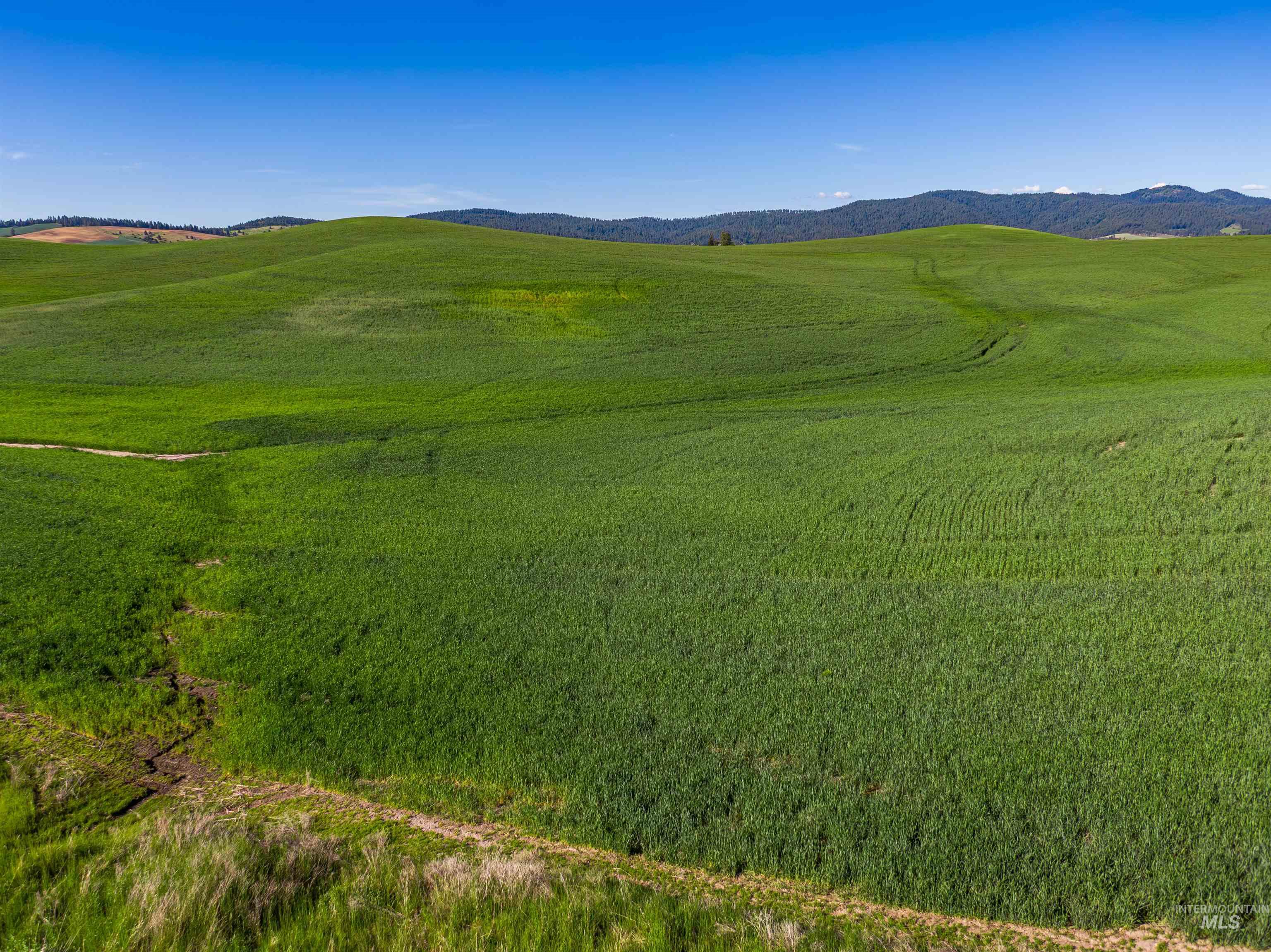 View of property's community with a mountain view