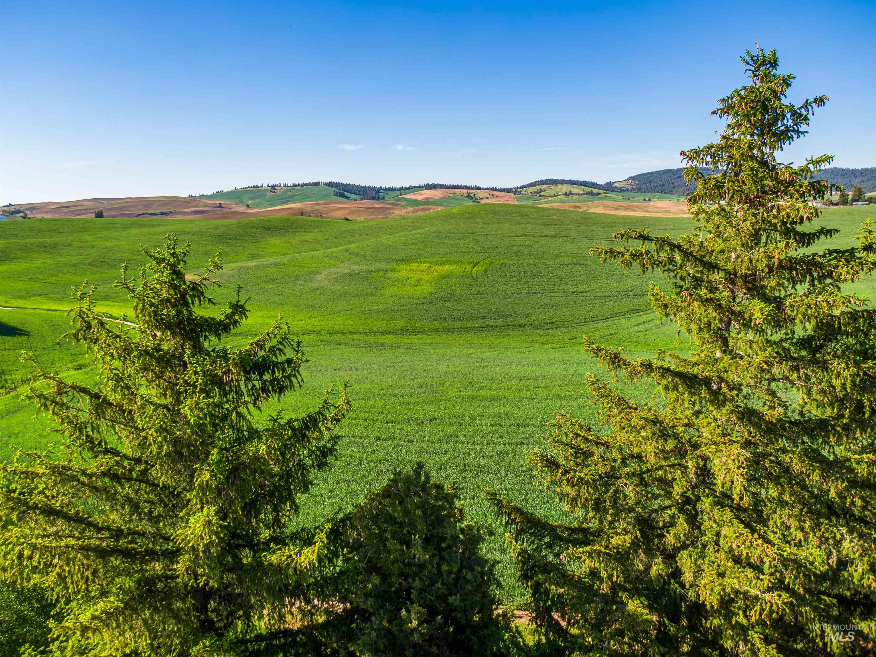 View of yard featuring a rural view