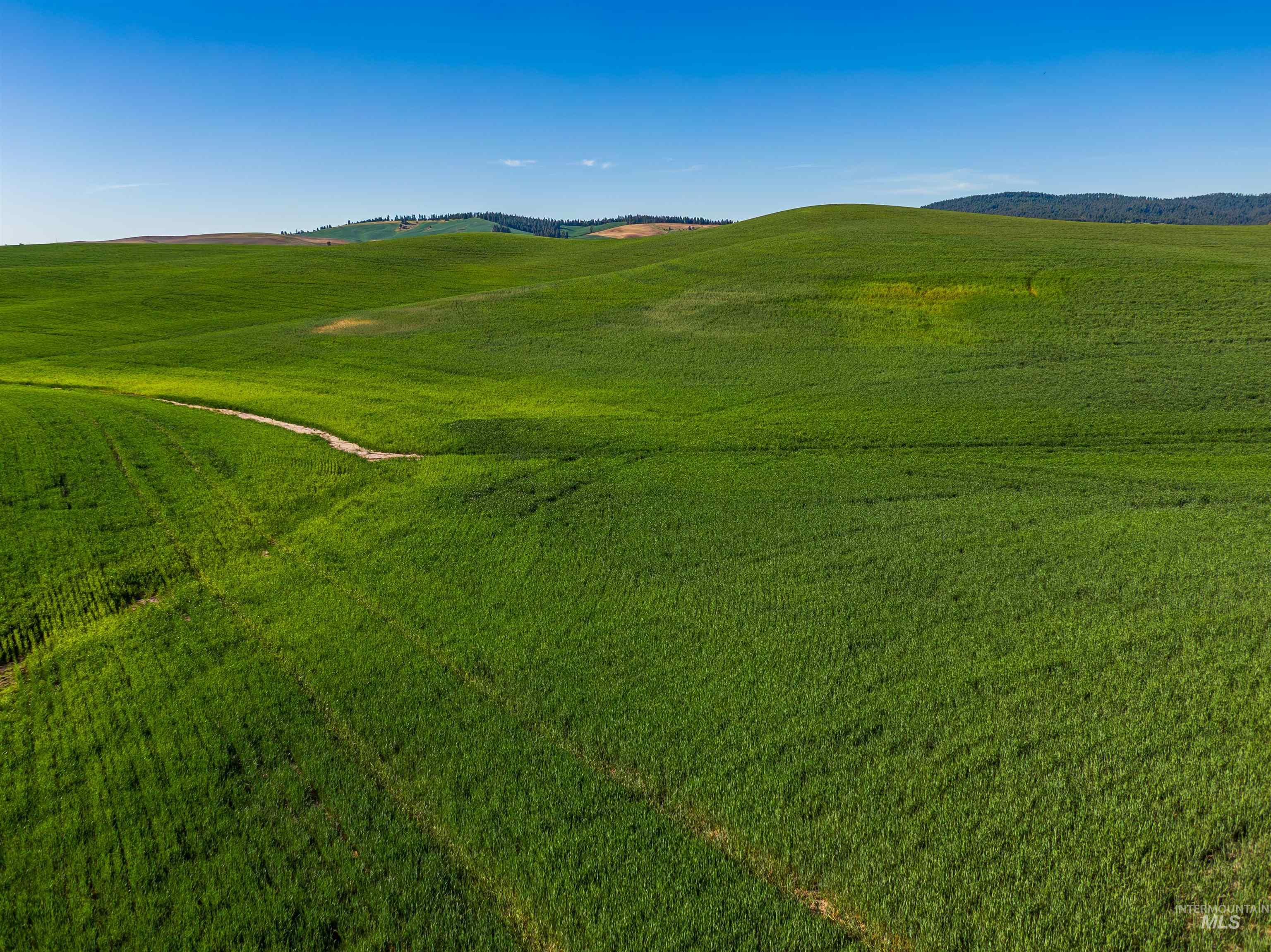 View of home's community with a mountain view and a view of rural / pastoral area