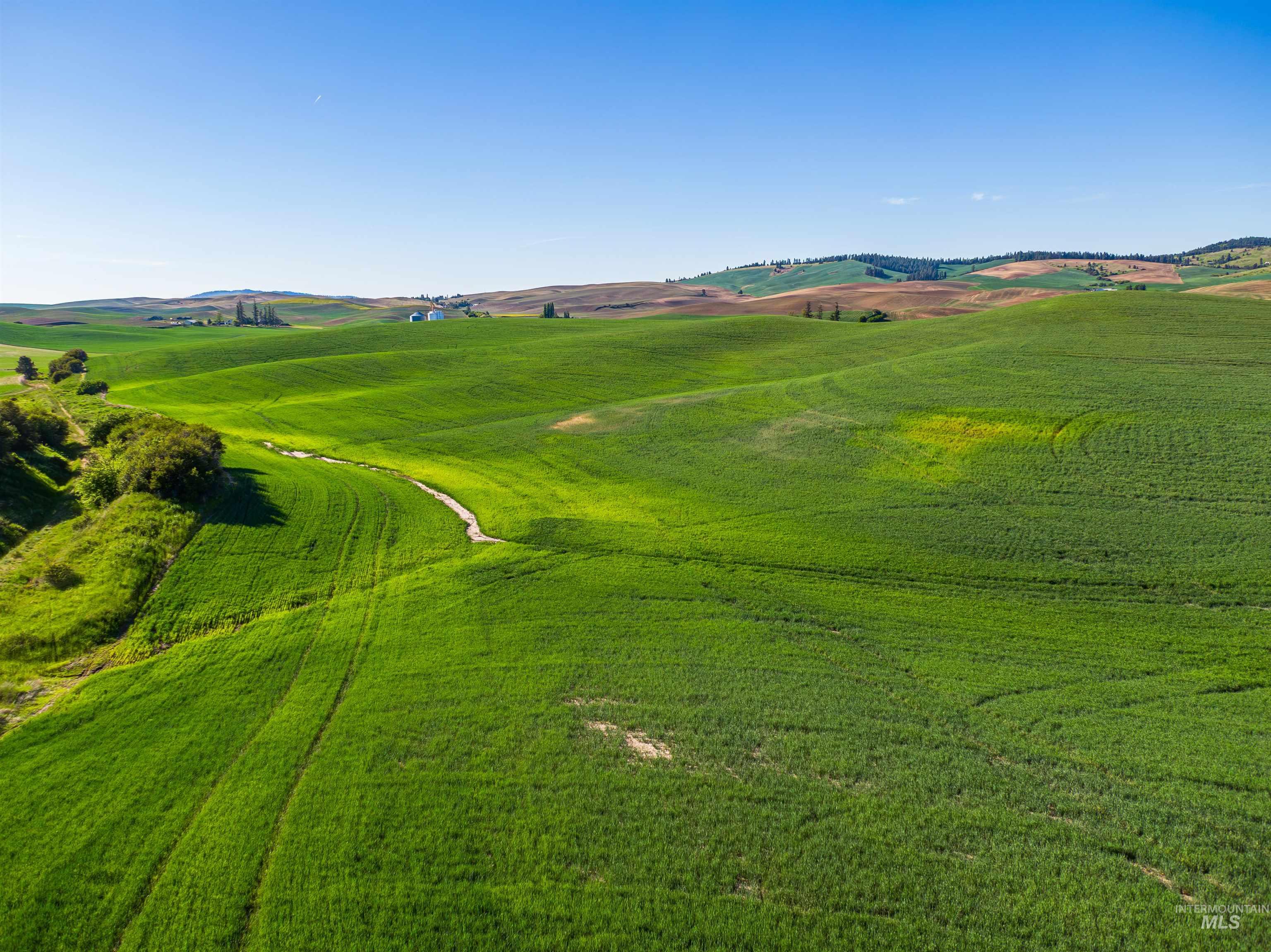 View of home's community with a view of rural / pastoral area