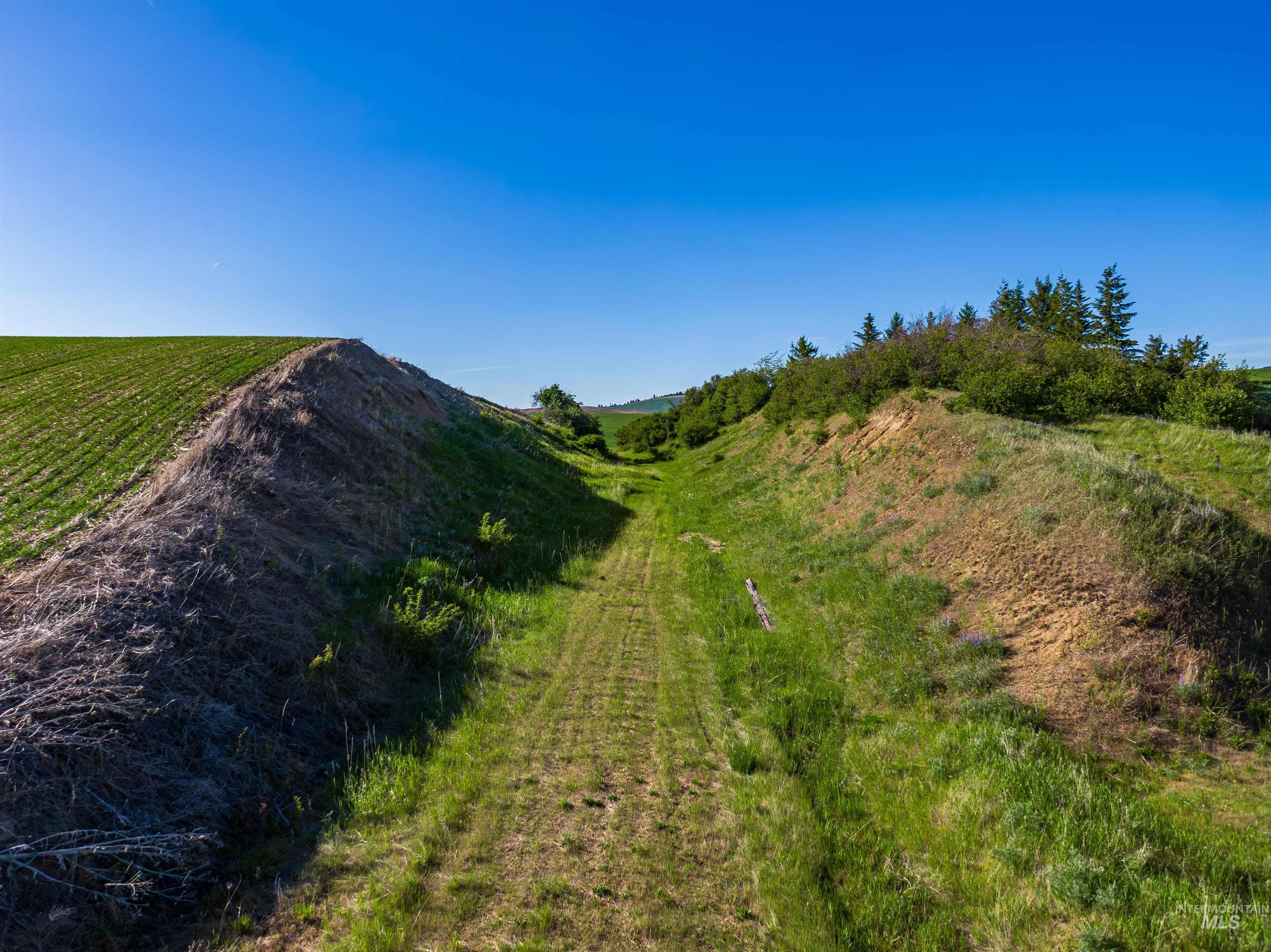 Mountain view featuring rural landscape